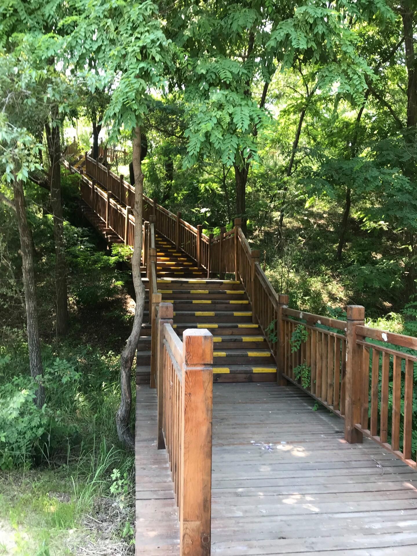 盘锦森林公园旅行图片 3