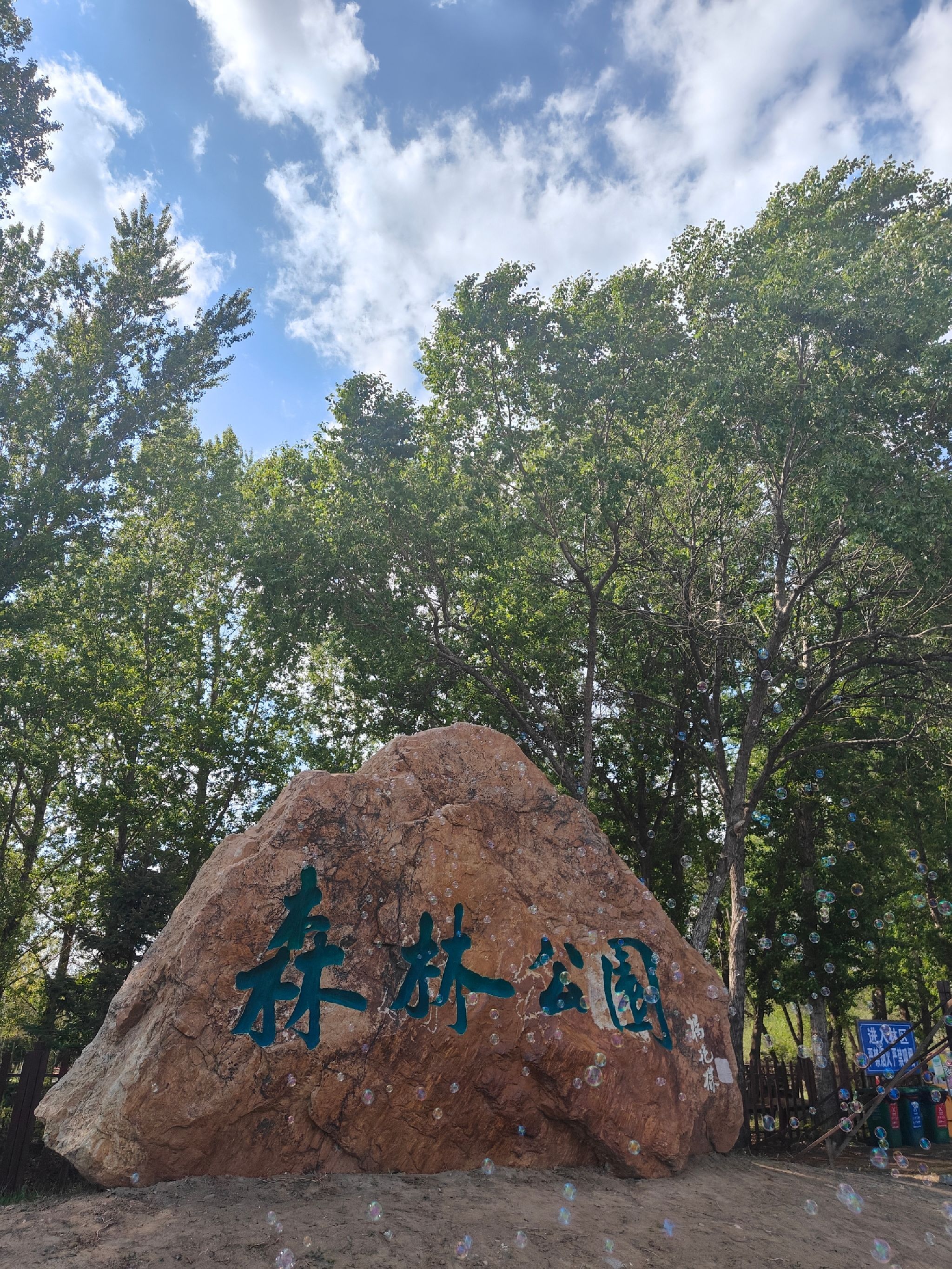 盘锦森林公园旅行图片 1