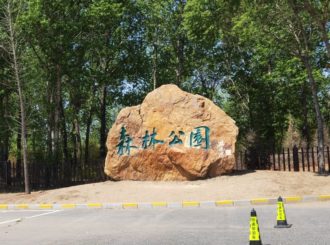 盘锦森林公园旅行图片 3