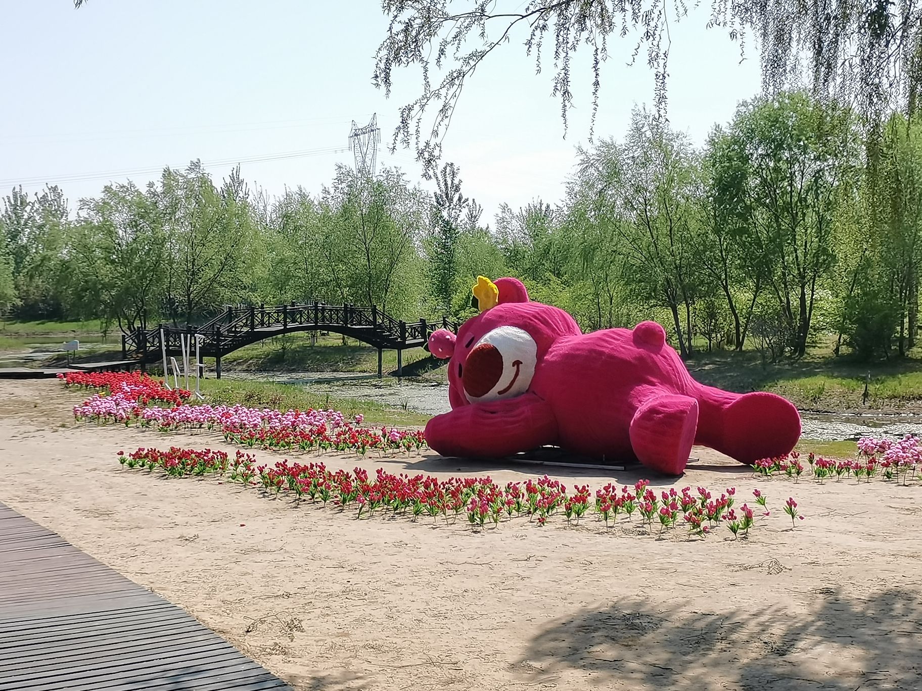盘锦森林公园旅行图片 1