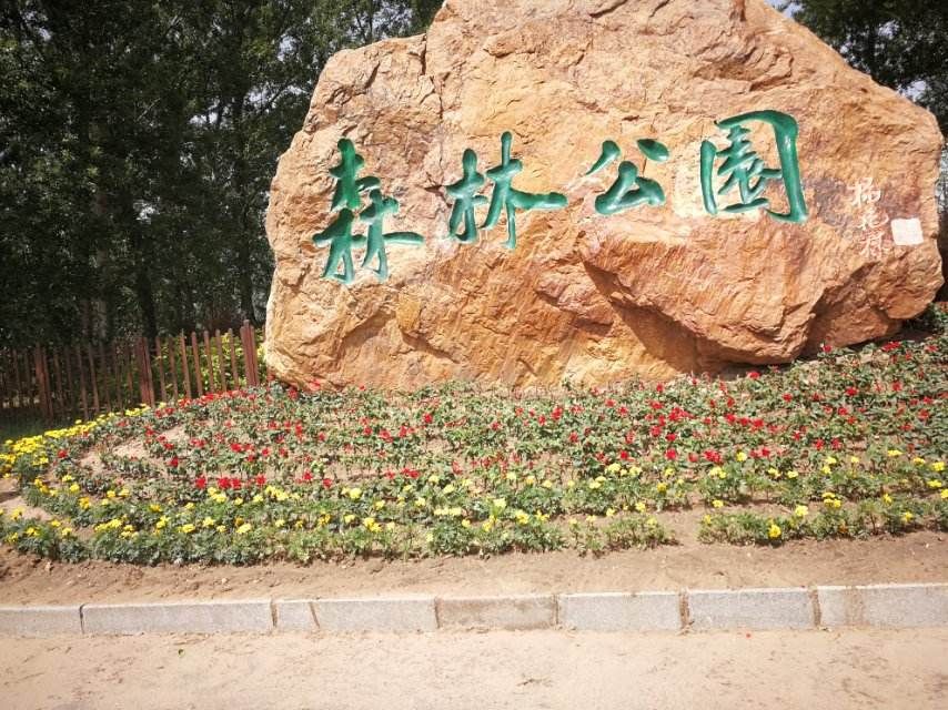 盘锦森林公园旅行图片 2