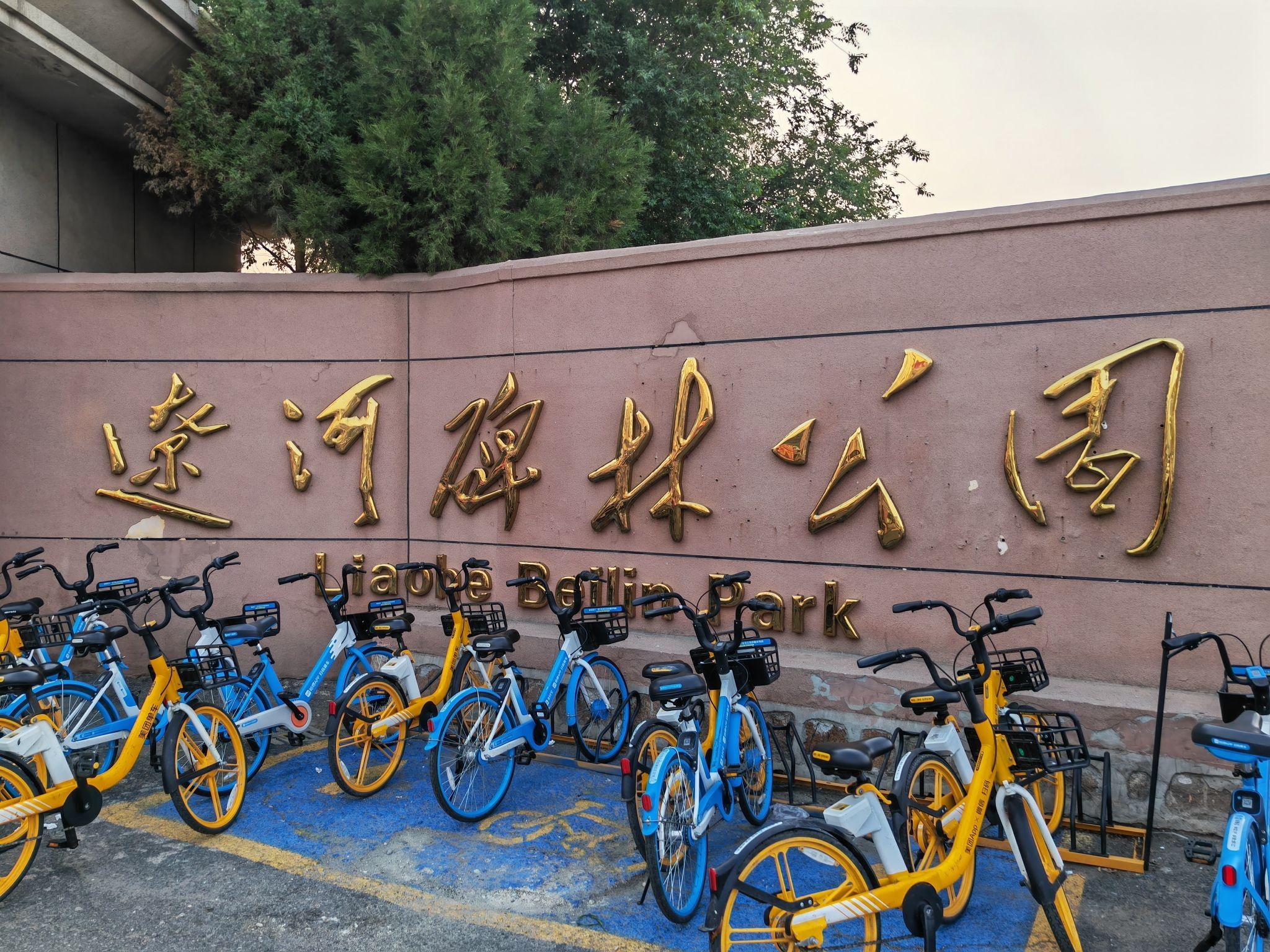 辽河碑林公园旅行图片 1