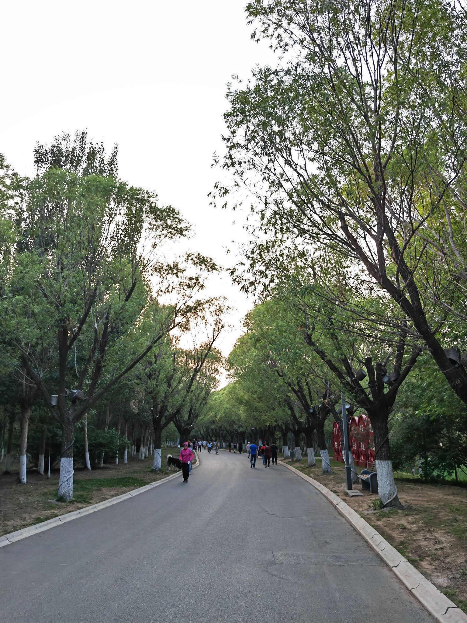 辽河碑林公园旅行图片 3