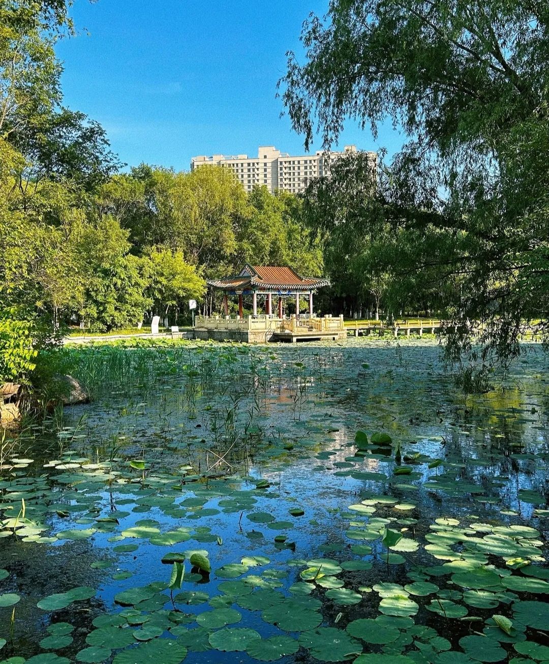 辽河碑林公园旅行图片 1
