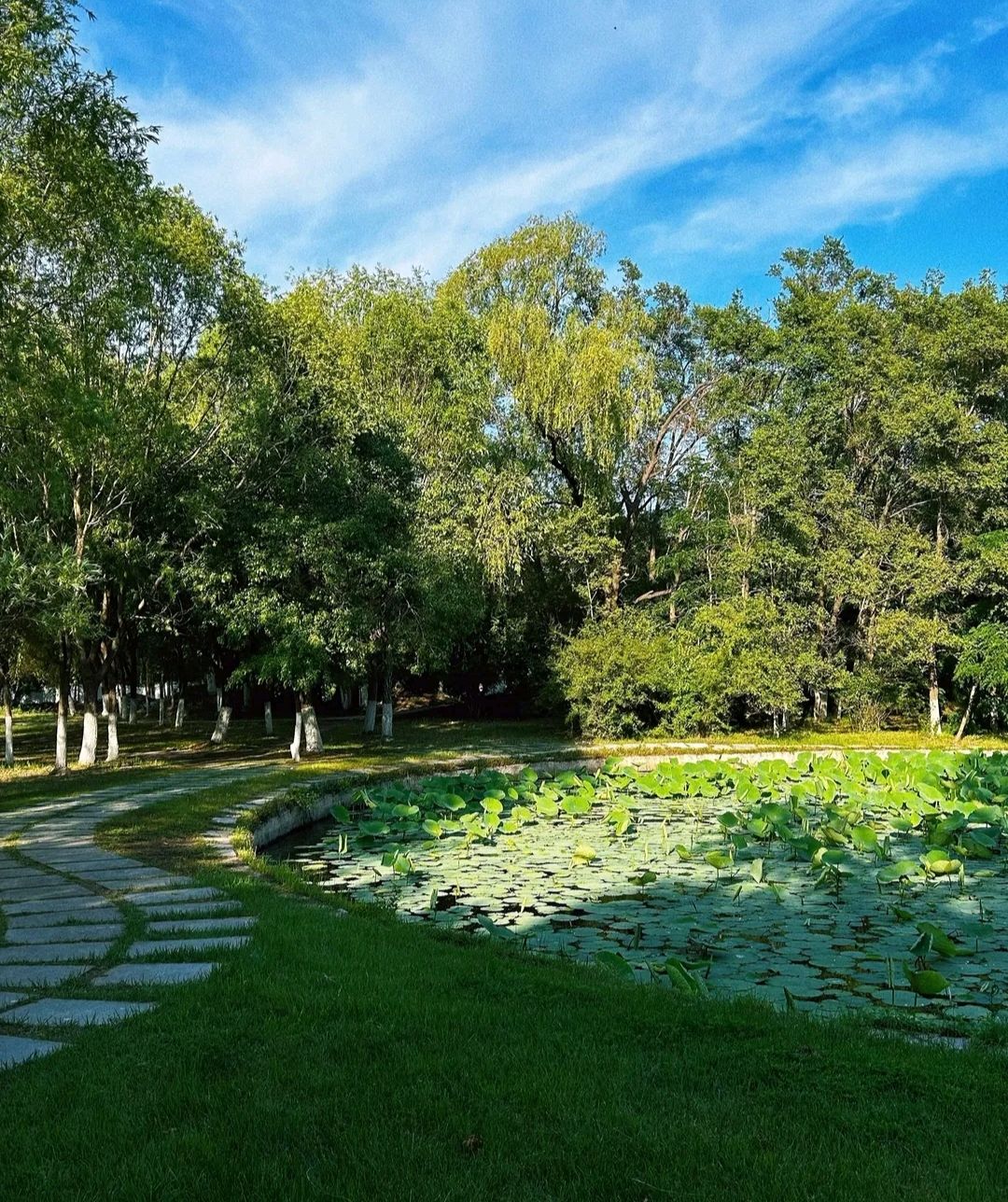 辽河碑林公园旅行图片 2