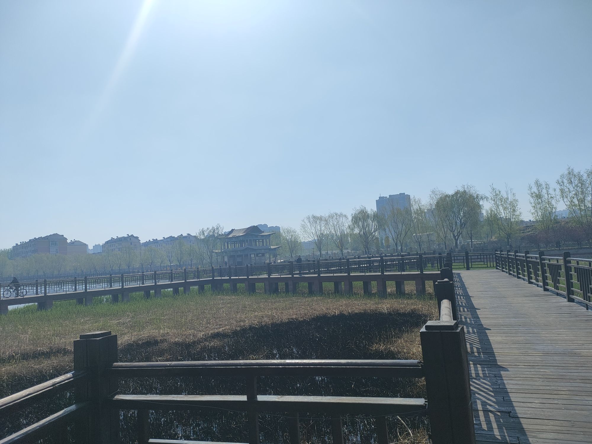 中兴公园旅行图片 3