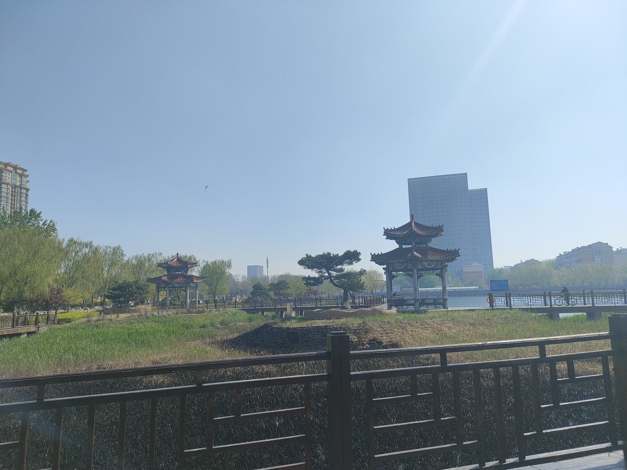 中兴公园旅行图片 2