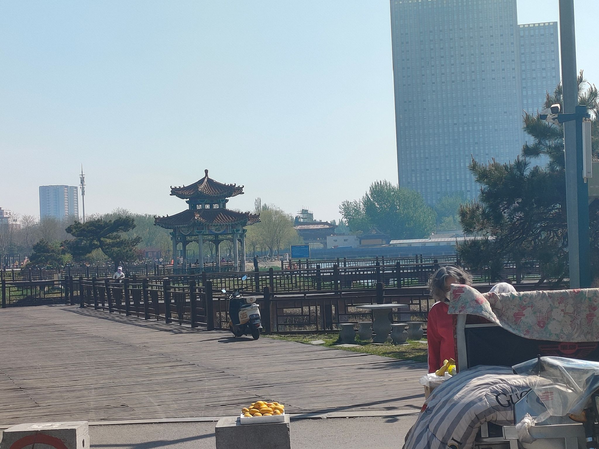 中兴公园旅行图片 1