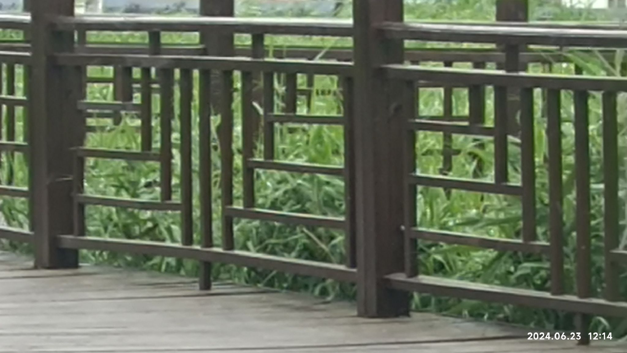 中兴公园旅行图片 2