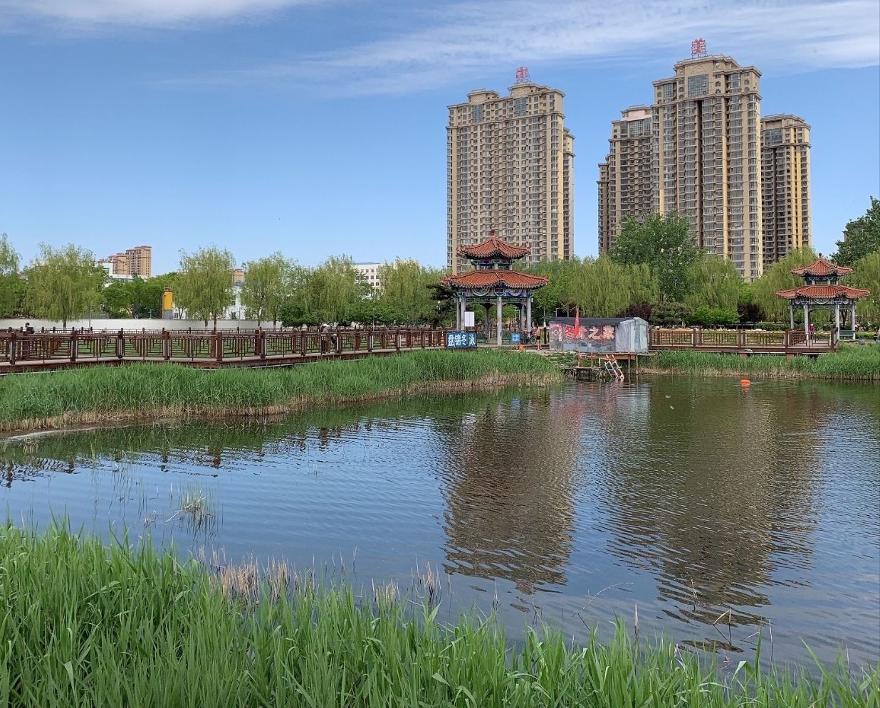 中兴公园旅行图片 1