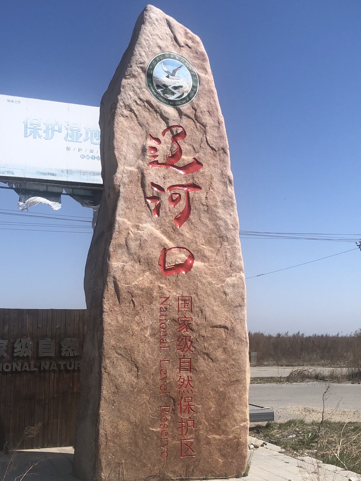 辽宁辽河口国家级自然保护区旅行图片 1