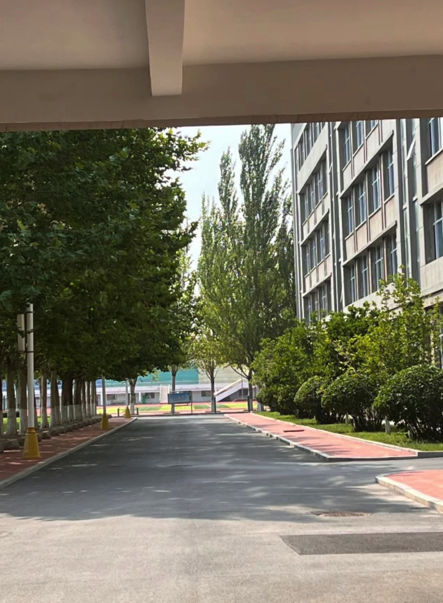 盘锦市高级中学