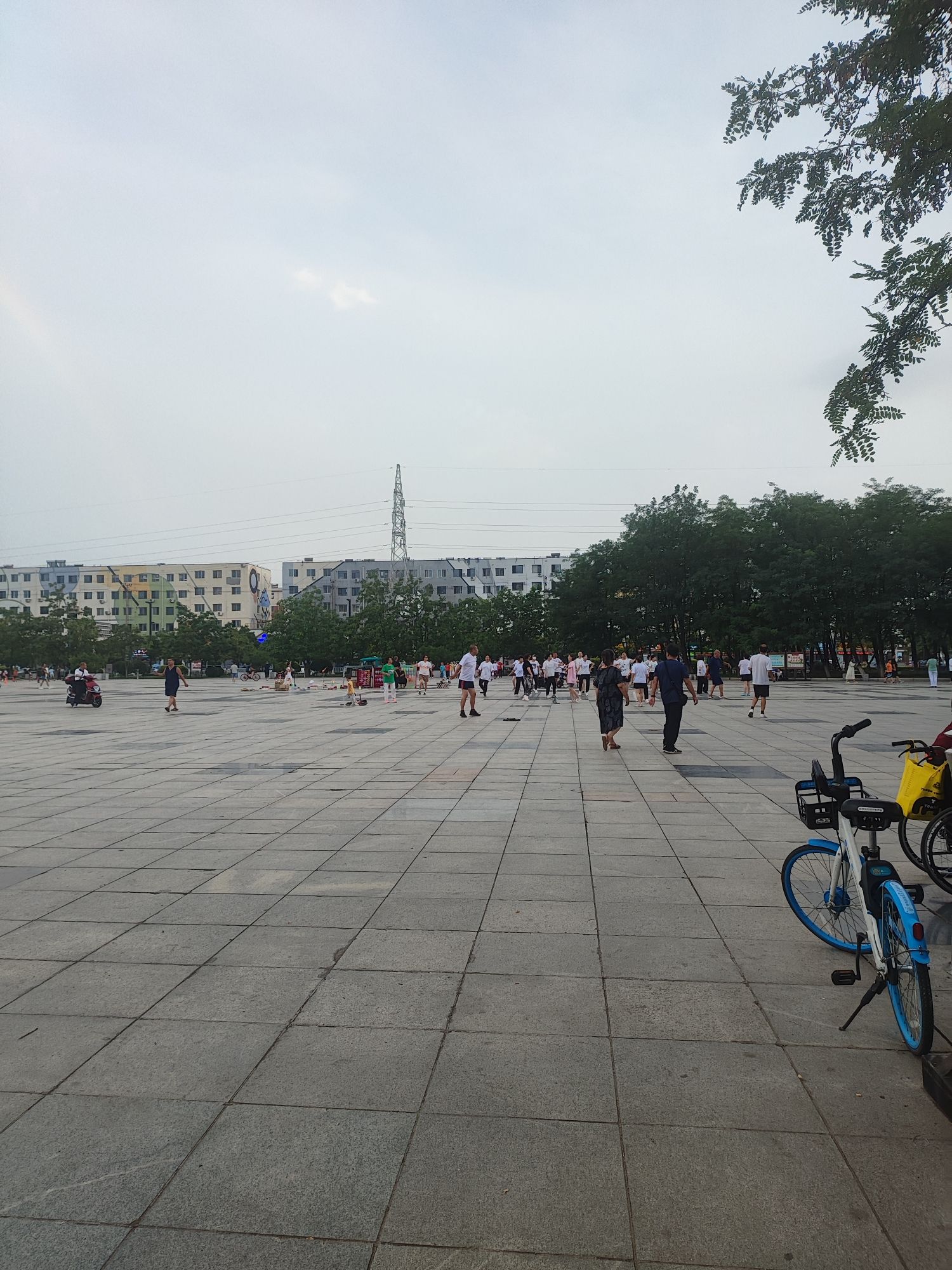 辽河文化广场旅行图片 2