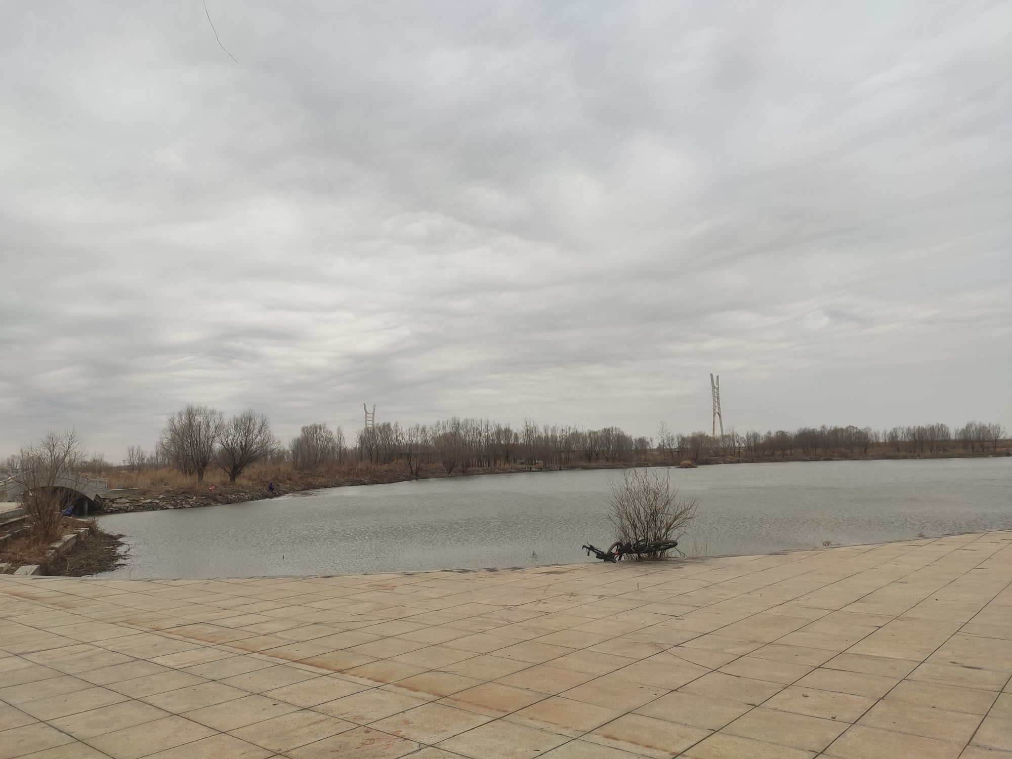 水榭春城湿地公园旅行图片 2