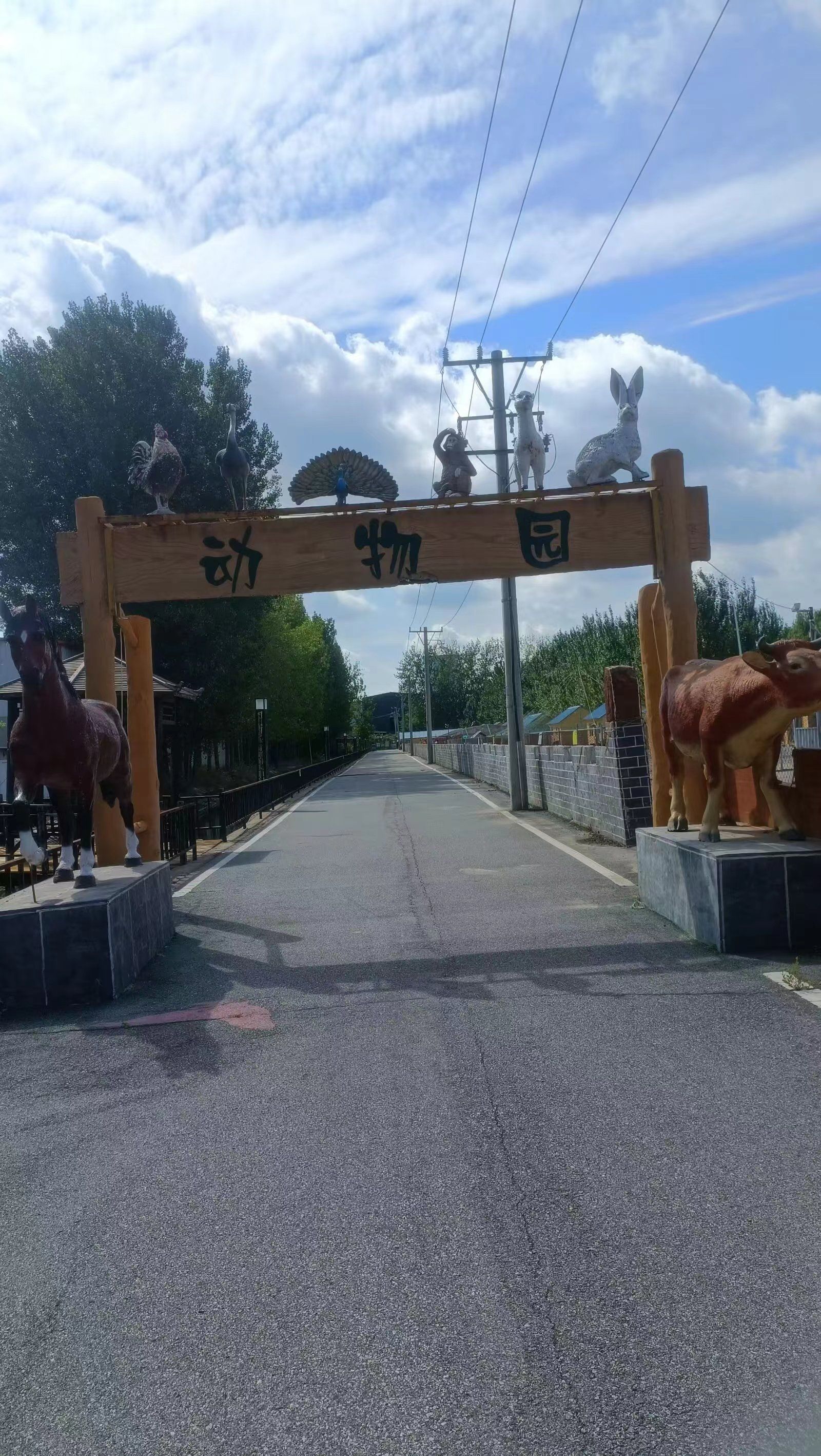 1955国营农场旅行图片 2