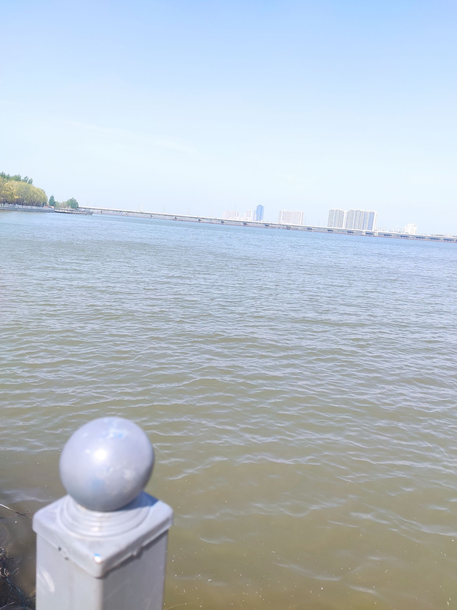 辽河湿地公园旅行图片 3