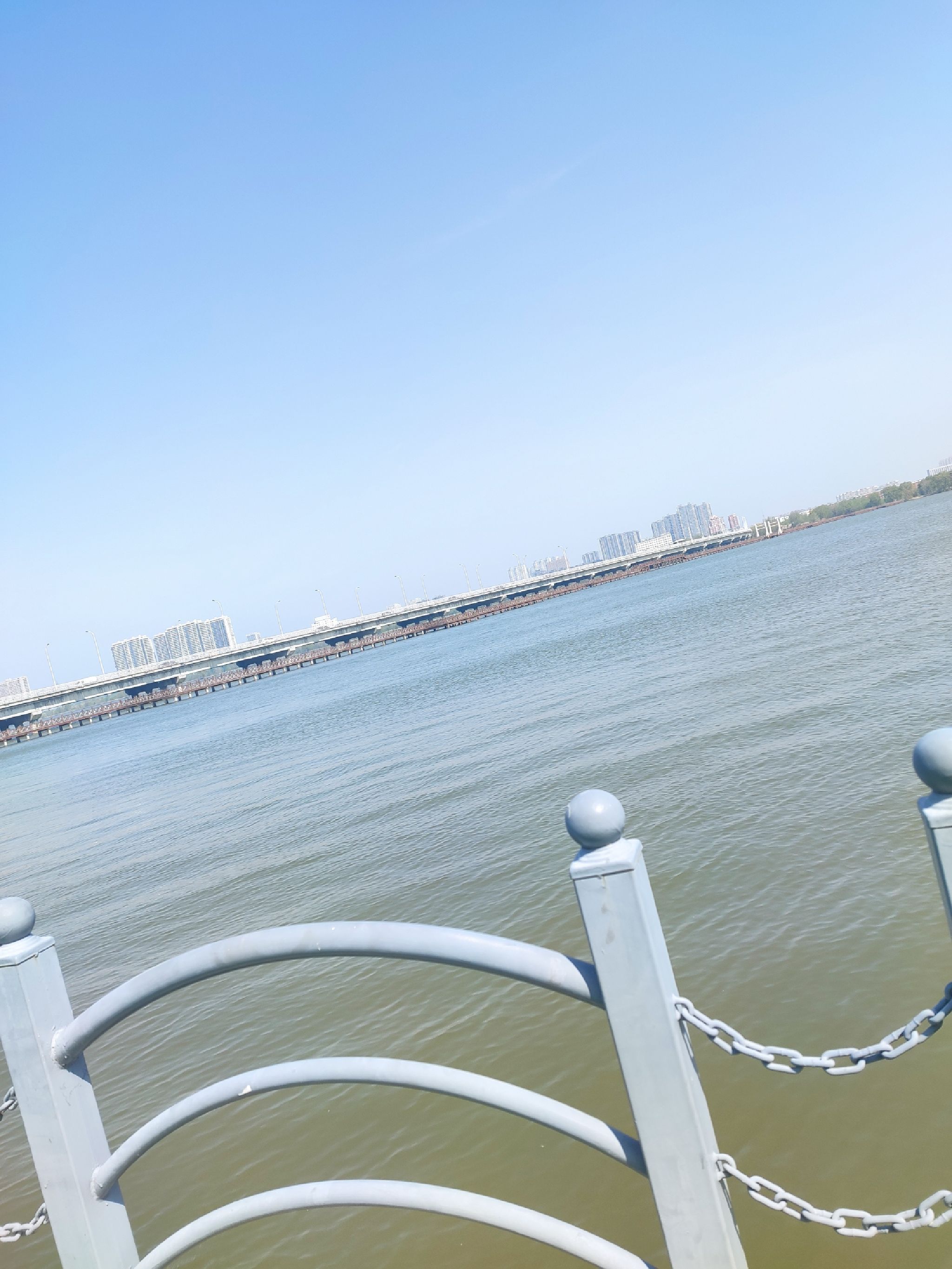 辽河湿地公园旅行图片 1