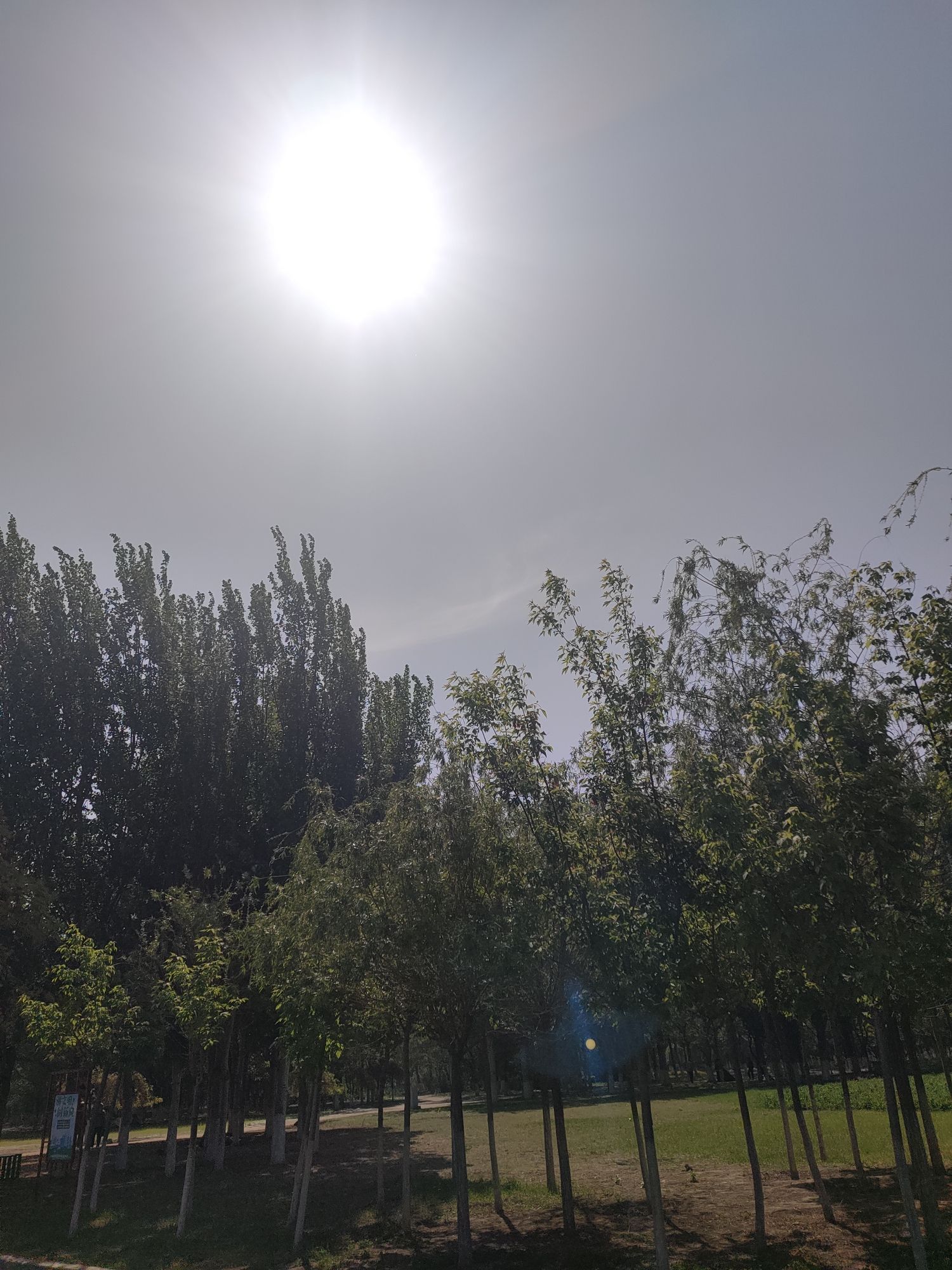 辽河湿地公园旅行图片 2
