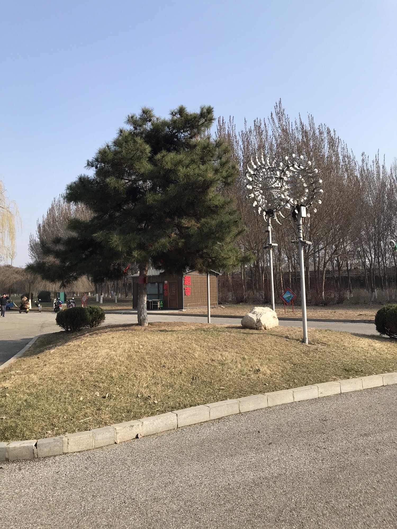 辽河湿地公园旅行图片 2