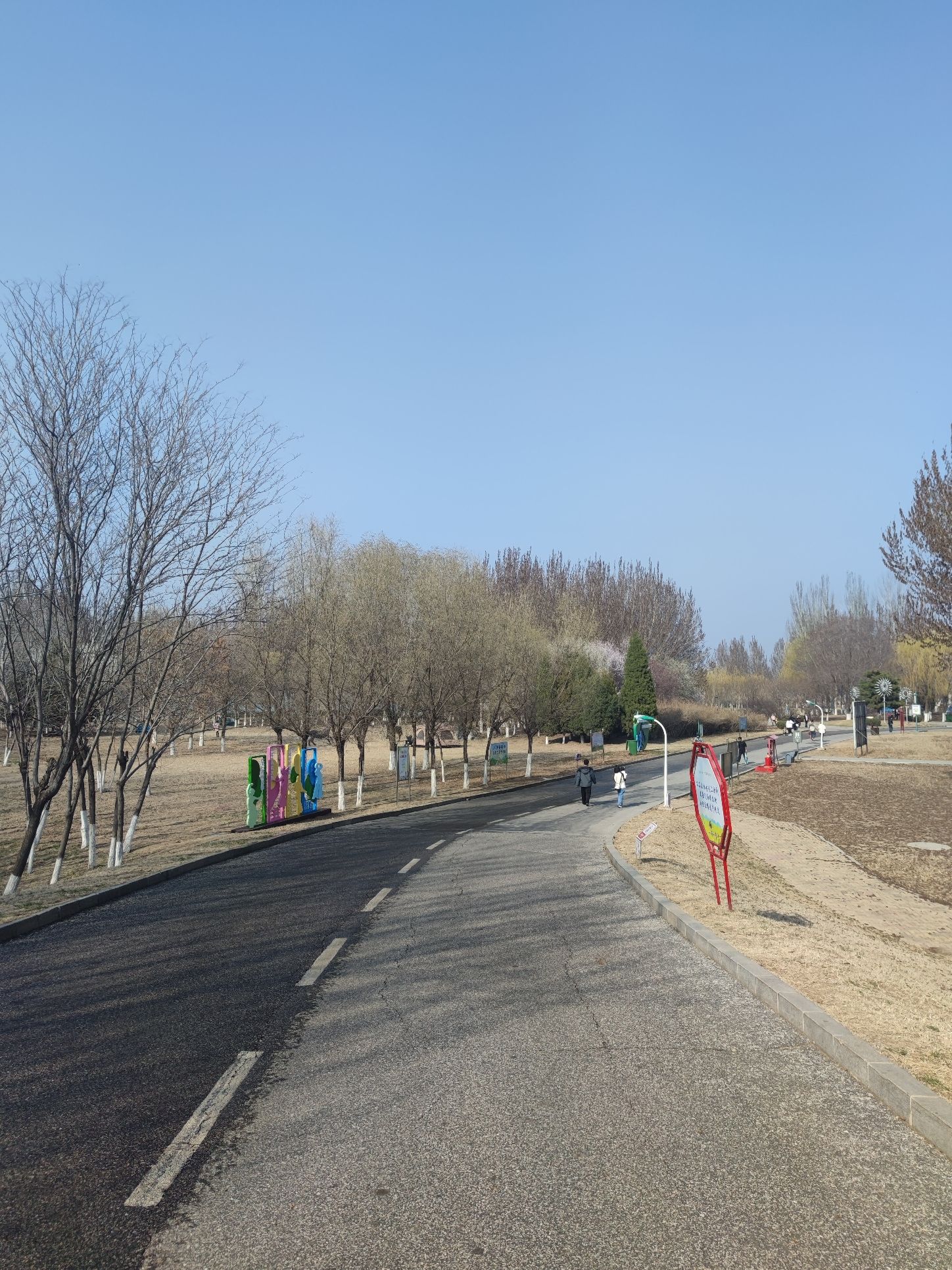 辽河湿地公园旅行图片 2