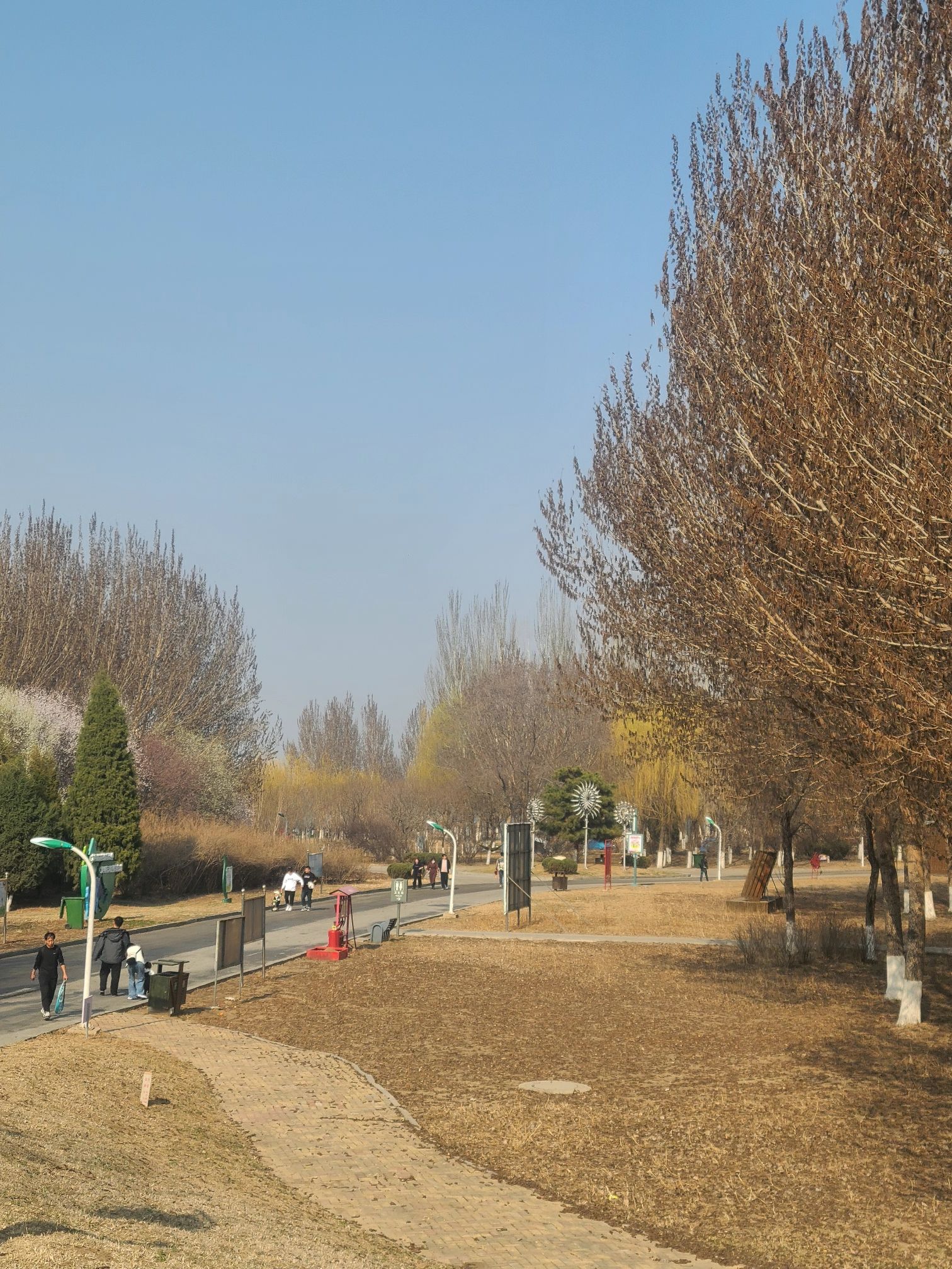 辽河湿地公园旅行图片 2
