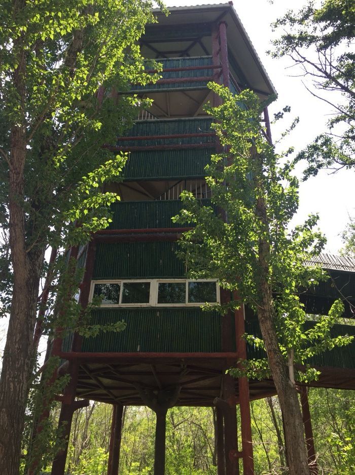 鼎翔生态旅游区(暂停开放)旅行图片 3