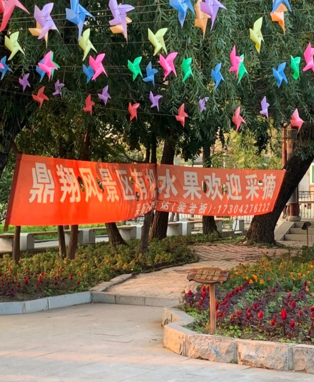 鼎翔生态旅游区(暂停开放)旅行图片 1