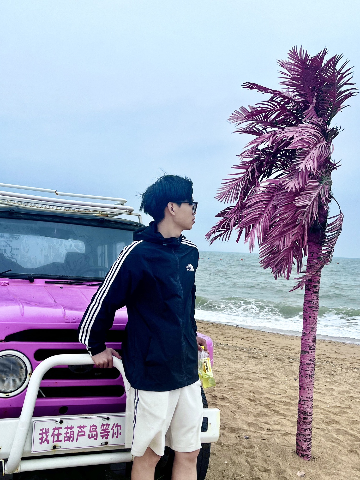 龙湾海滨风景区旅行图片 2