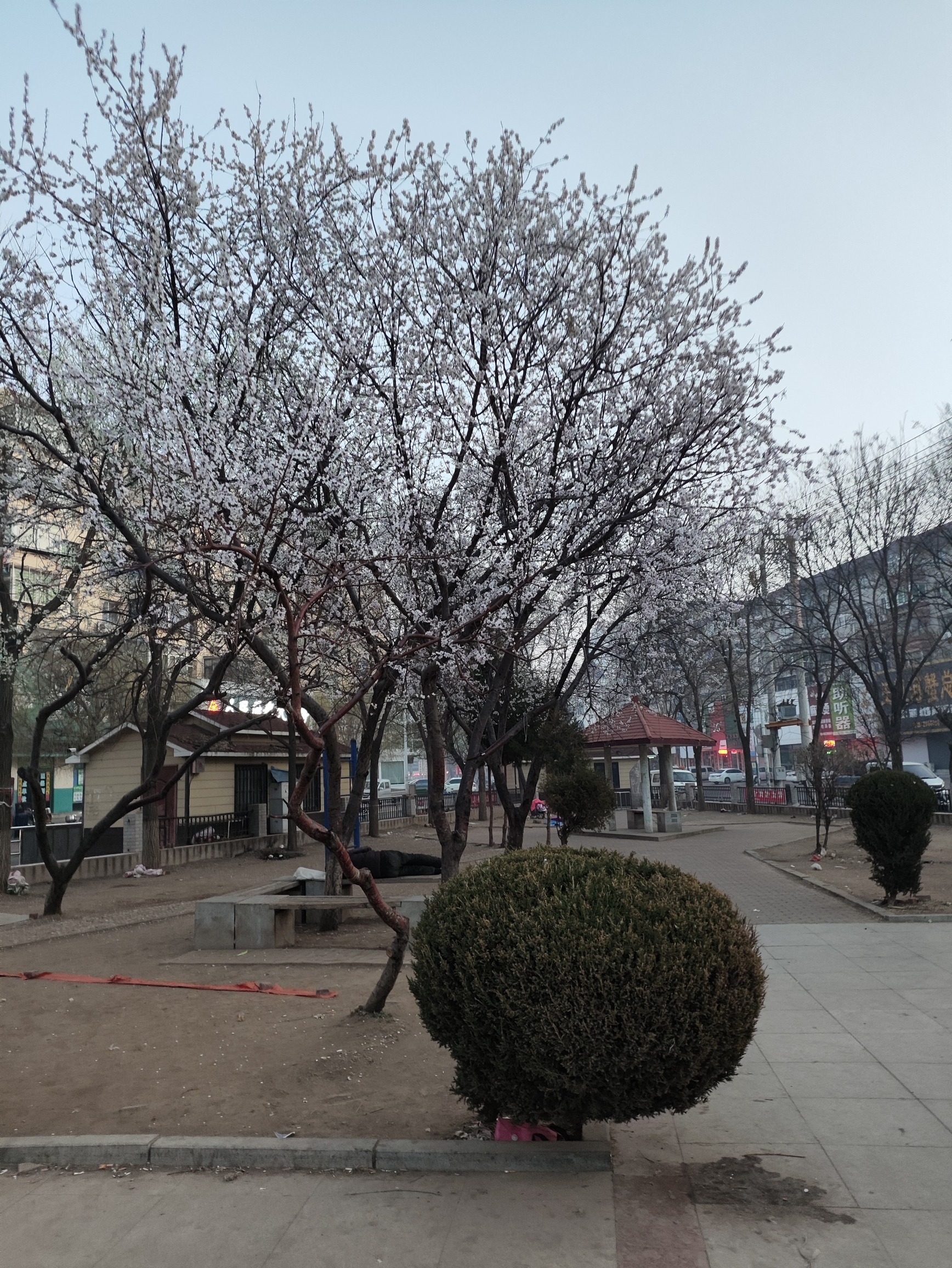 三角公园旅行图片 2