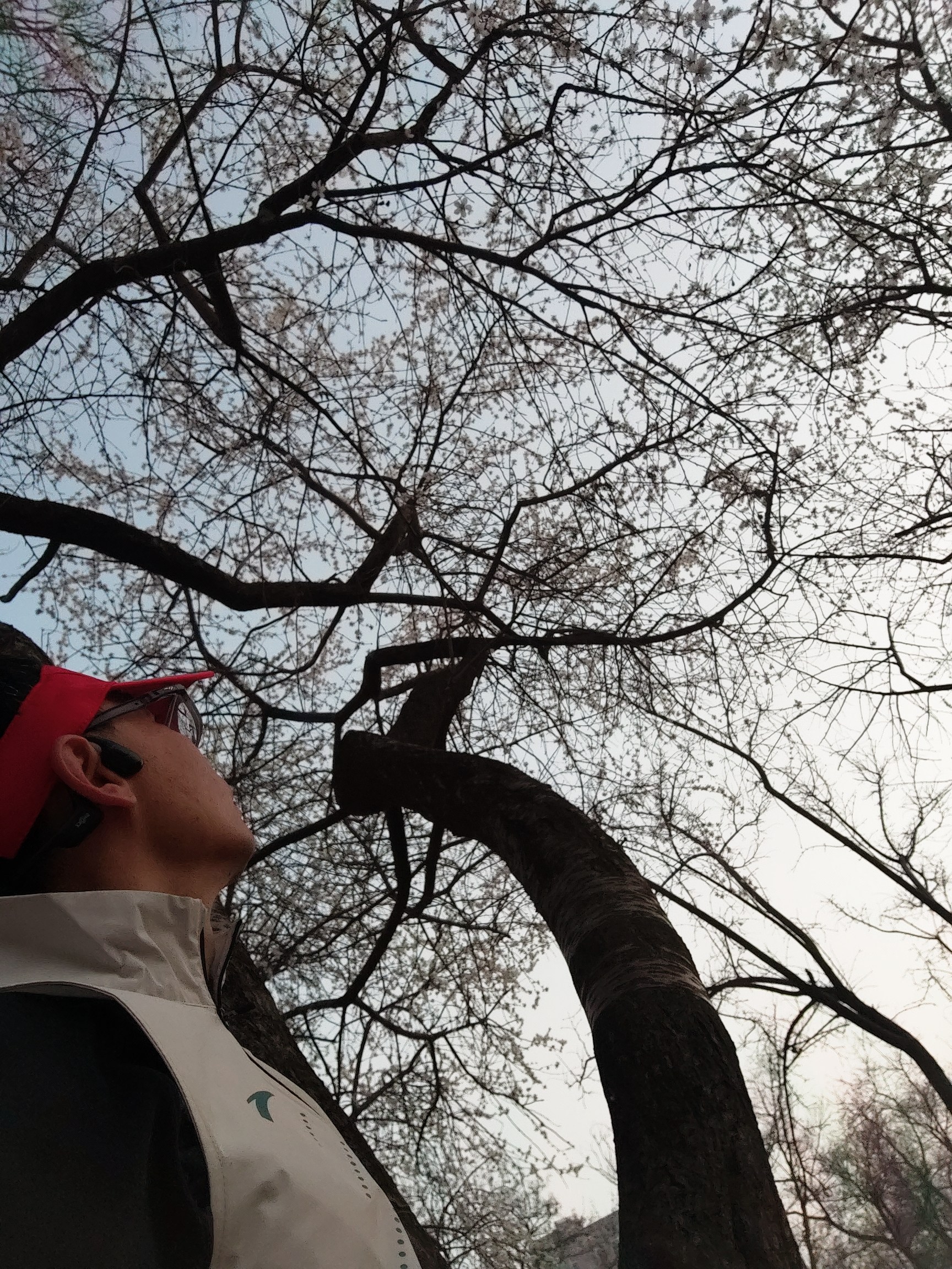 三角公园旅行图片 1