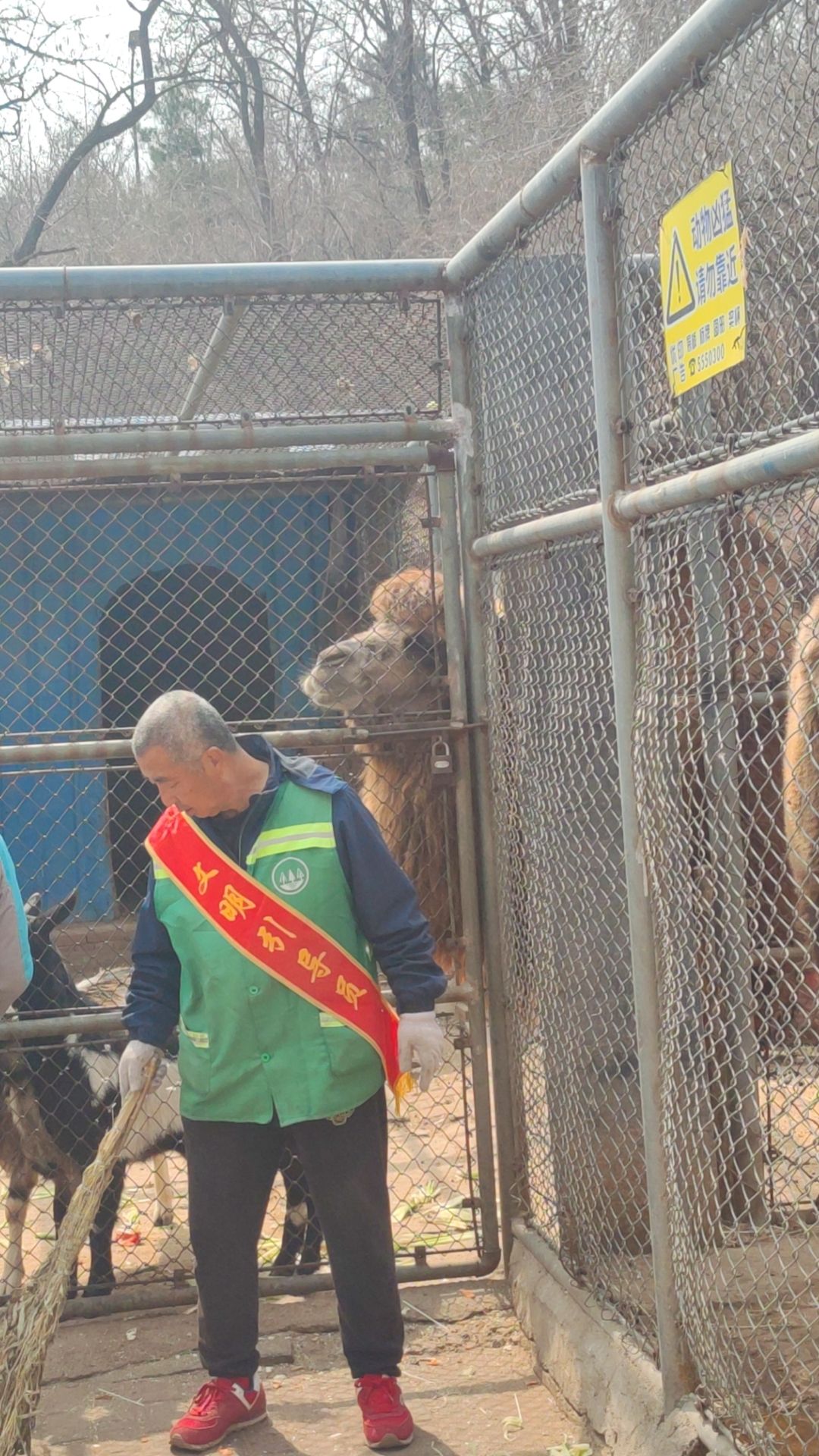 龙背山公园旅行图片 2