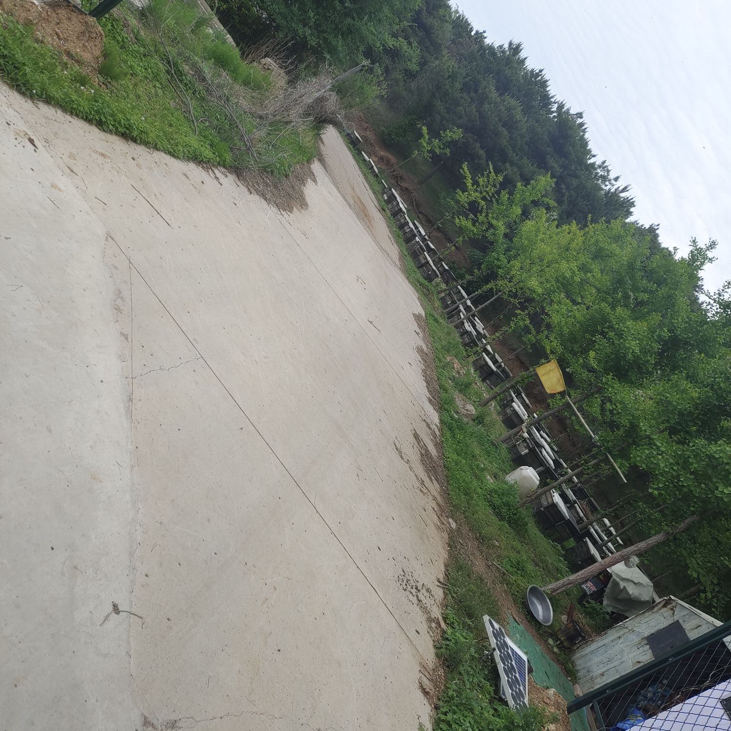 龙背山公园旅行图片 2