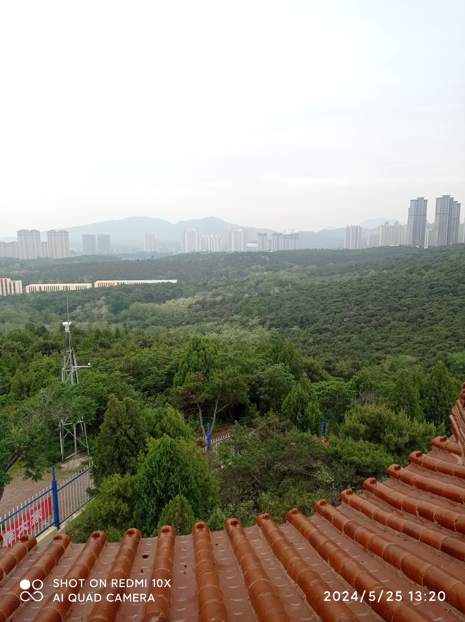龙背山公园旅行图片 2
