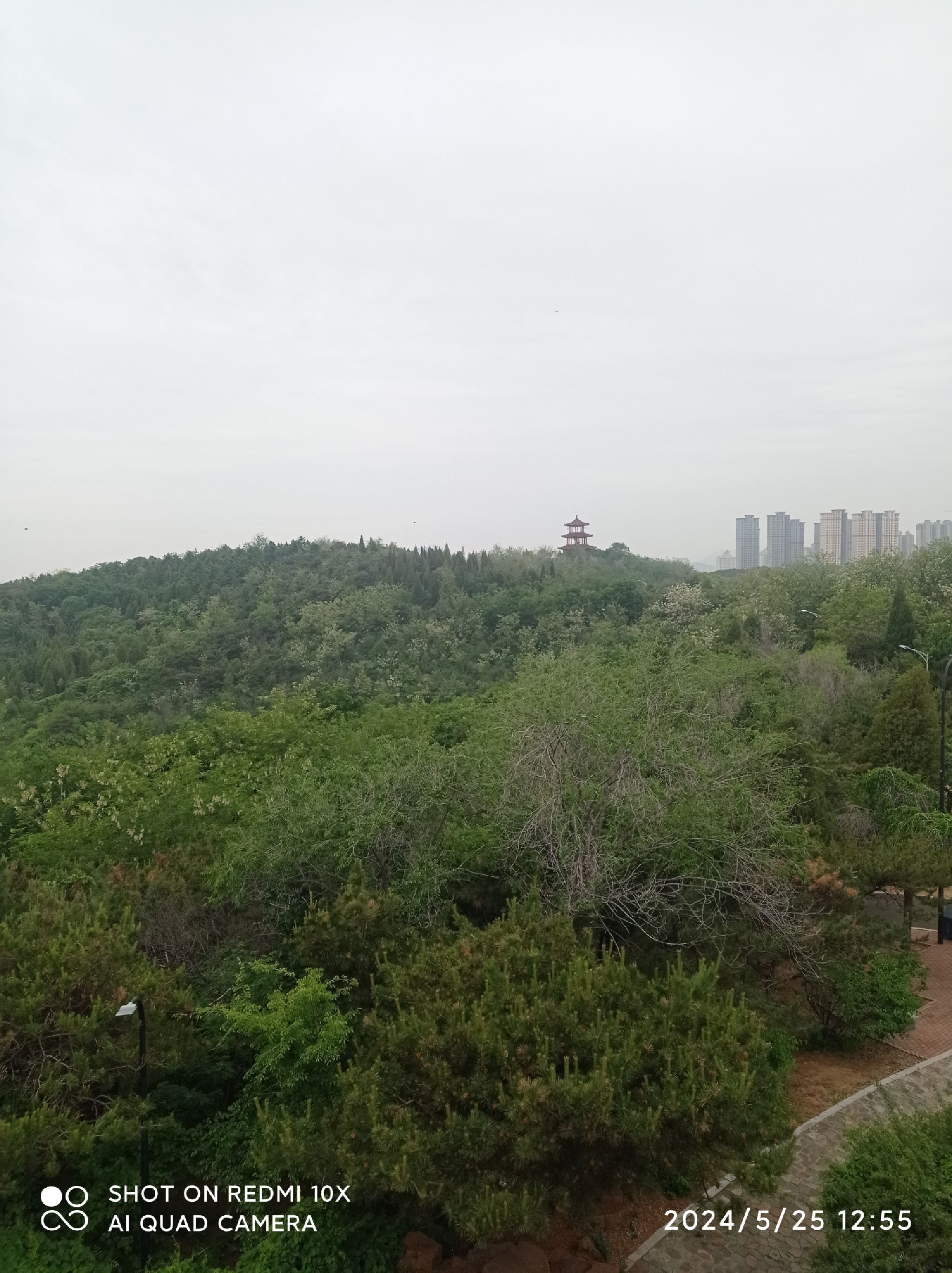 龙背山公园旅行图片 1