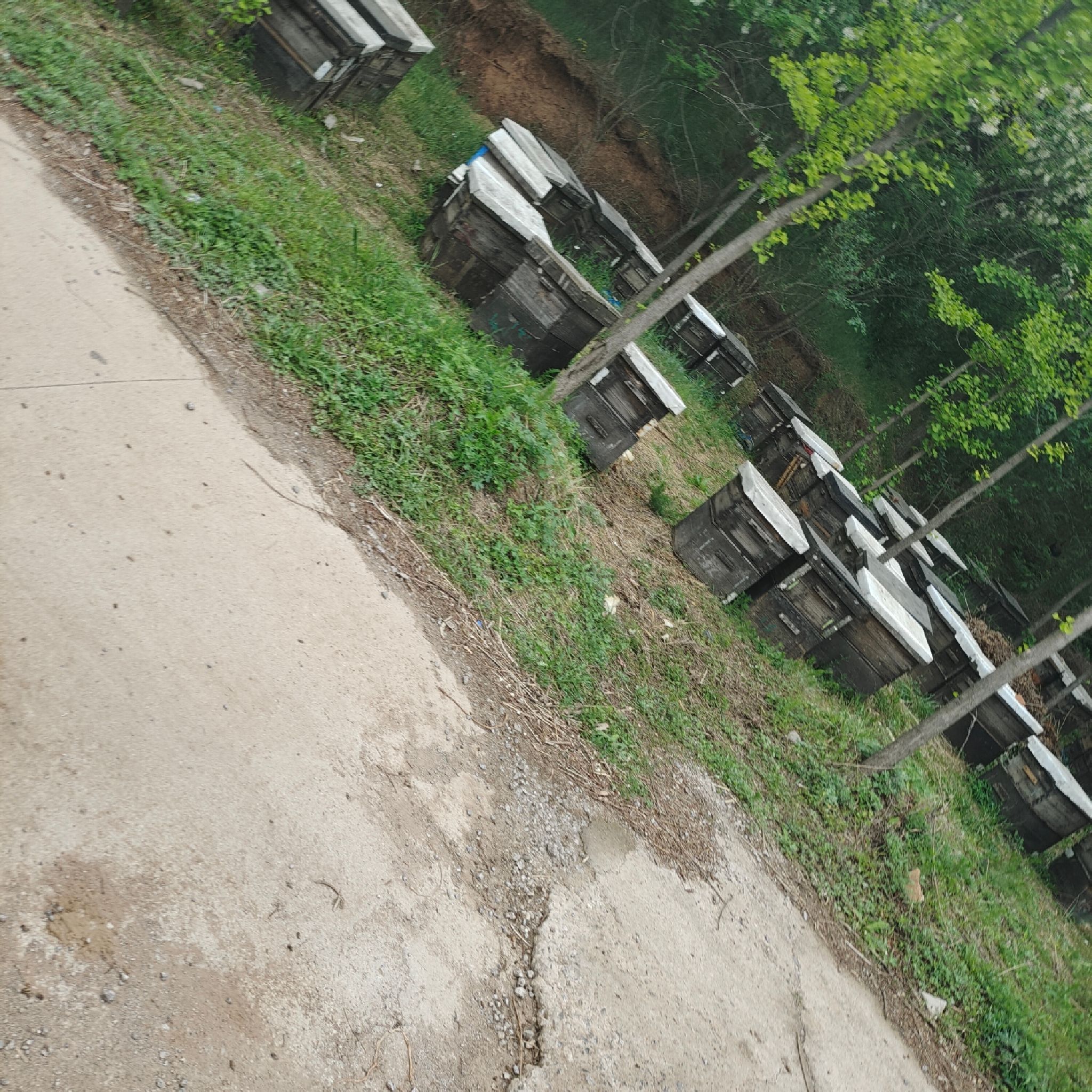 龙背山公园旅行图片 1