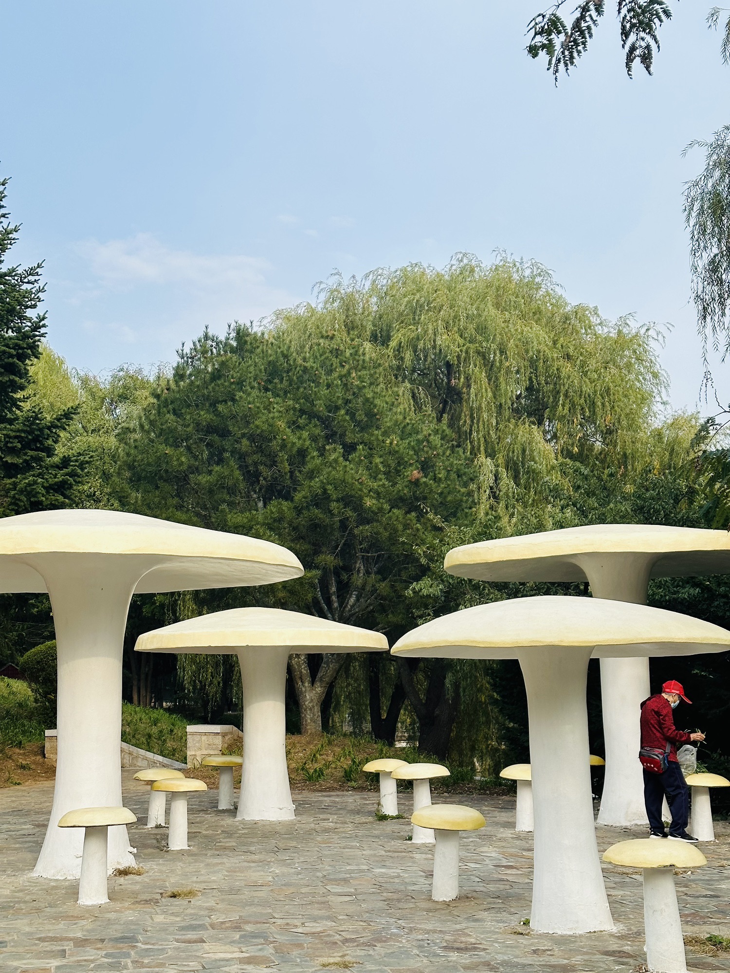 龙湾公园旅行图片 2