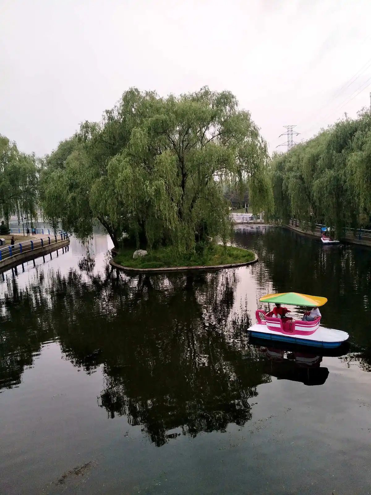 龙湾公园旅行图片 3