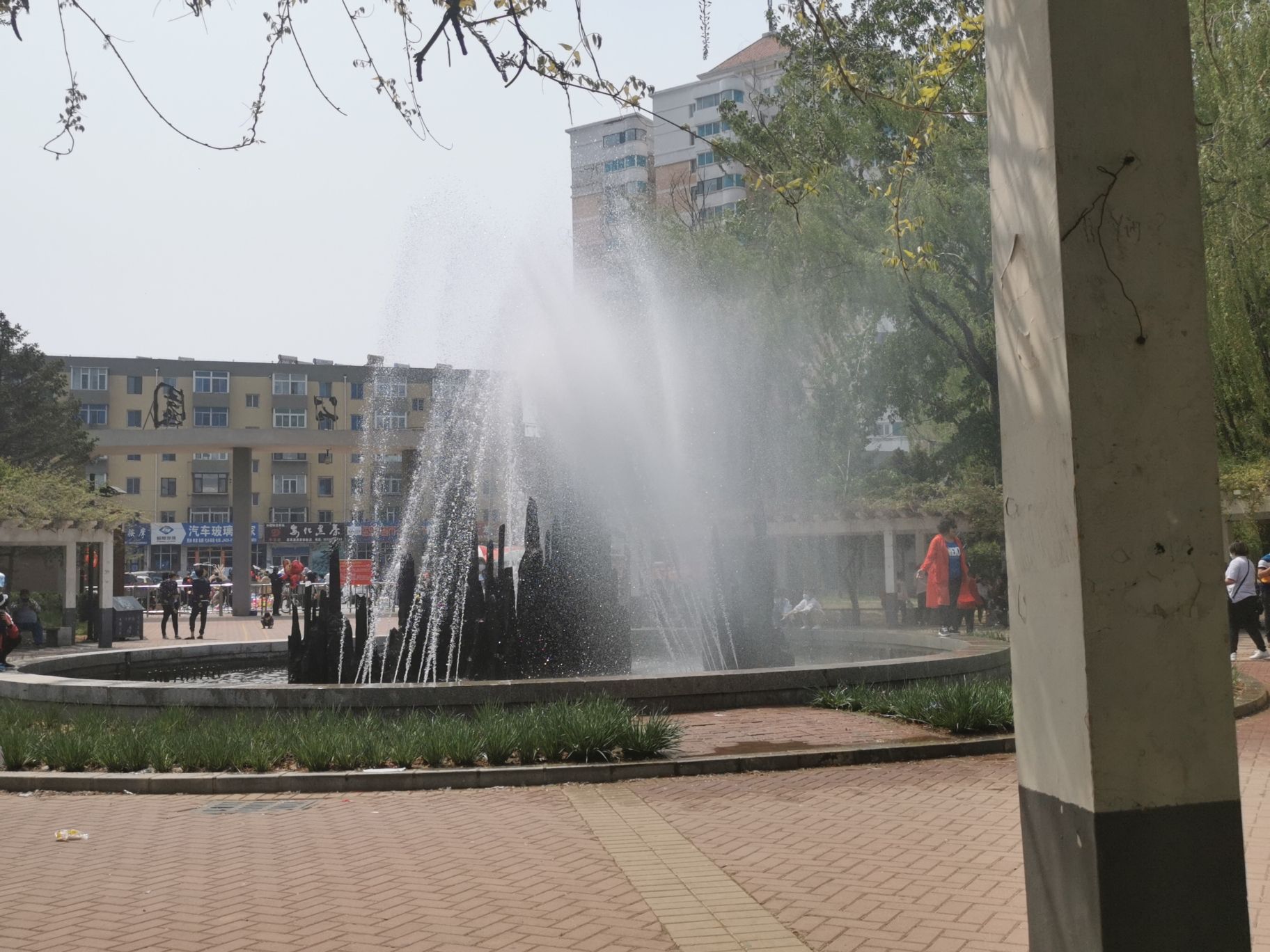 龙湾公园旅行图片 2