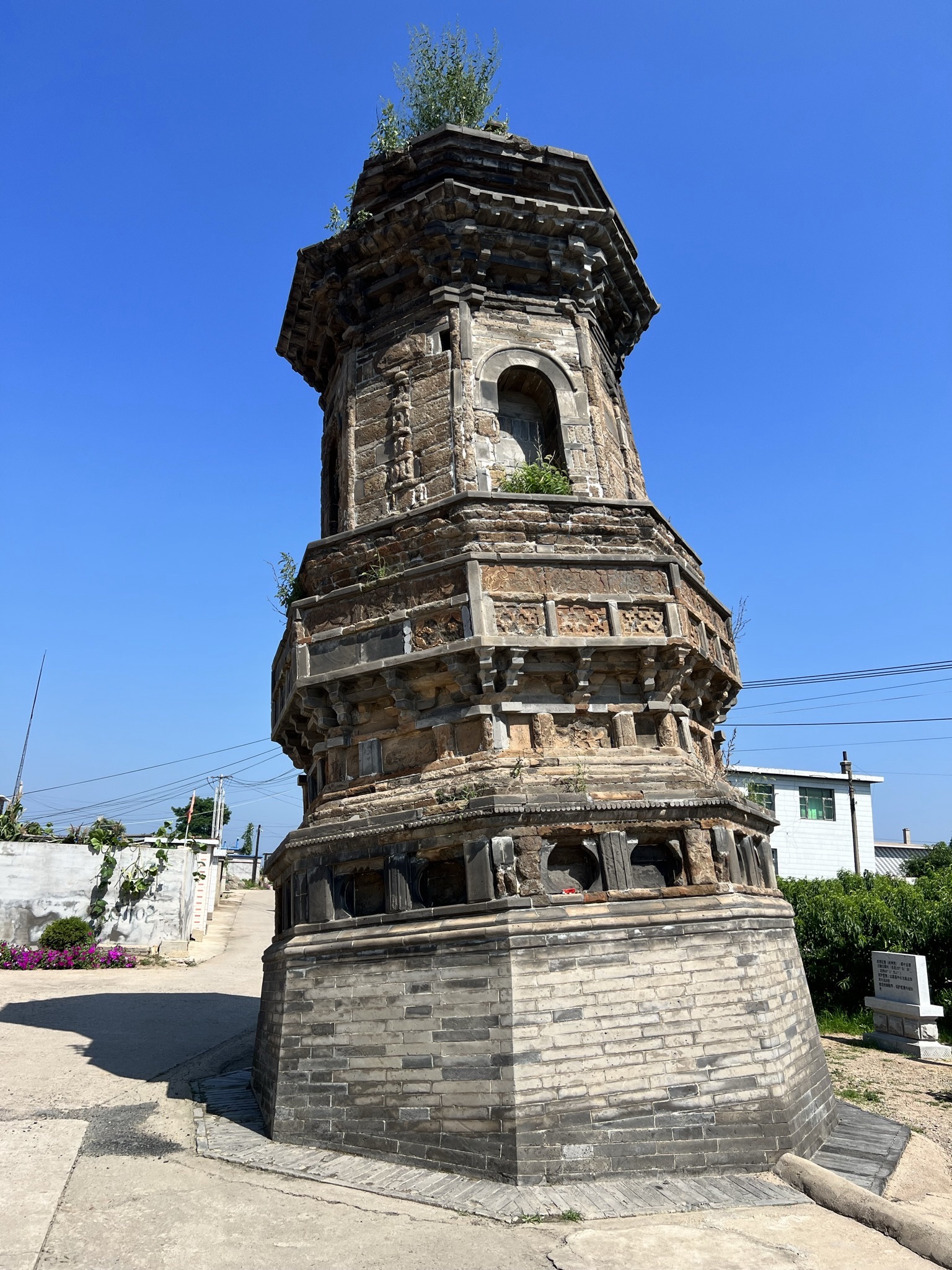 前卫歪塔旅行图片 1