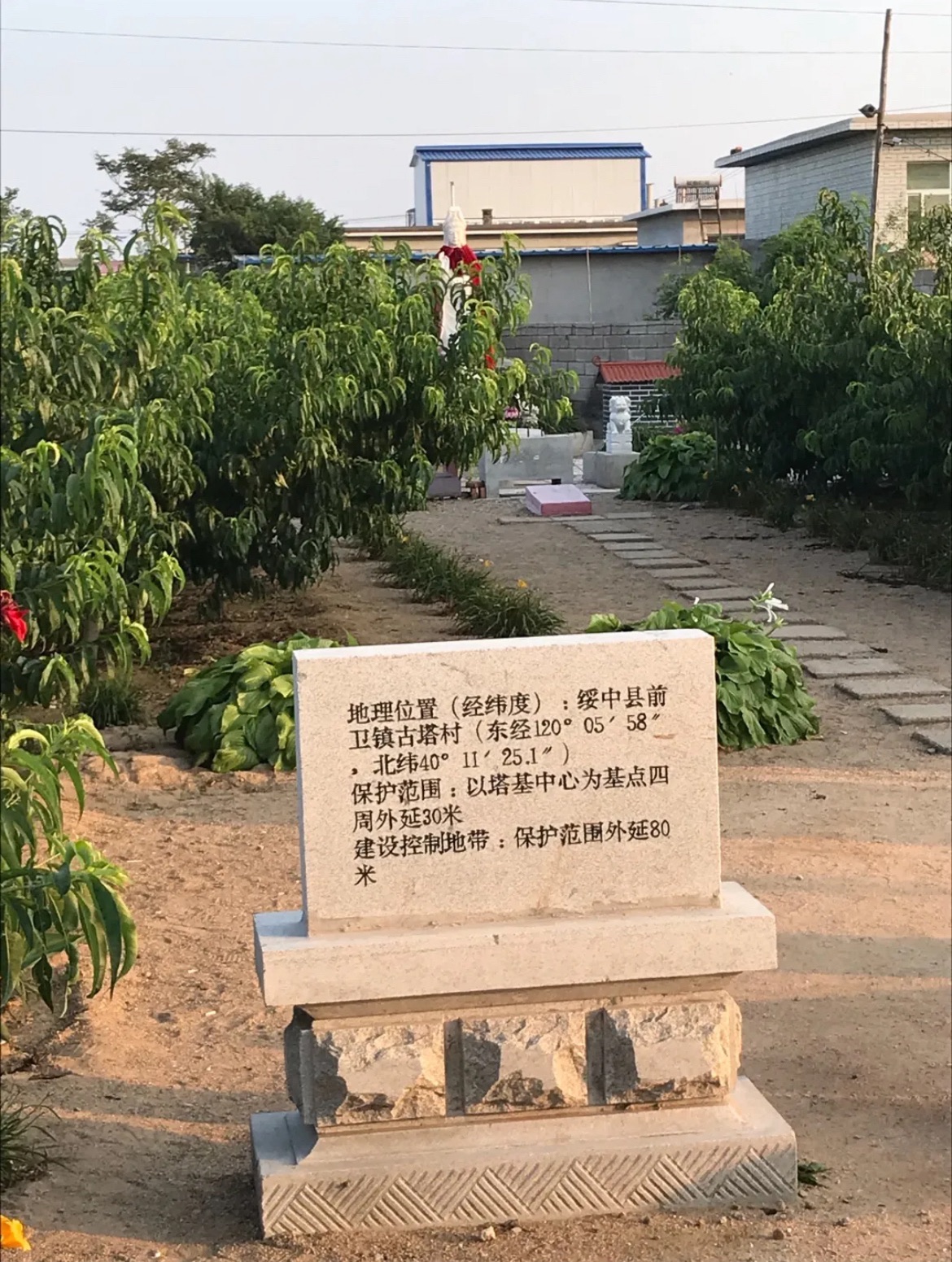 前卫歪塔旅行图片 3