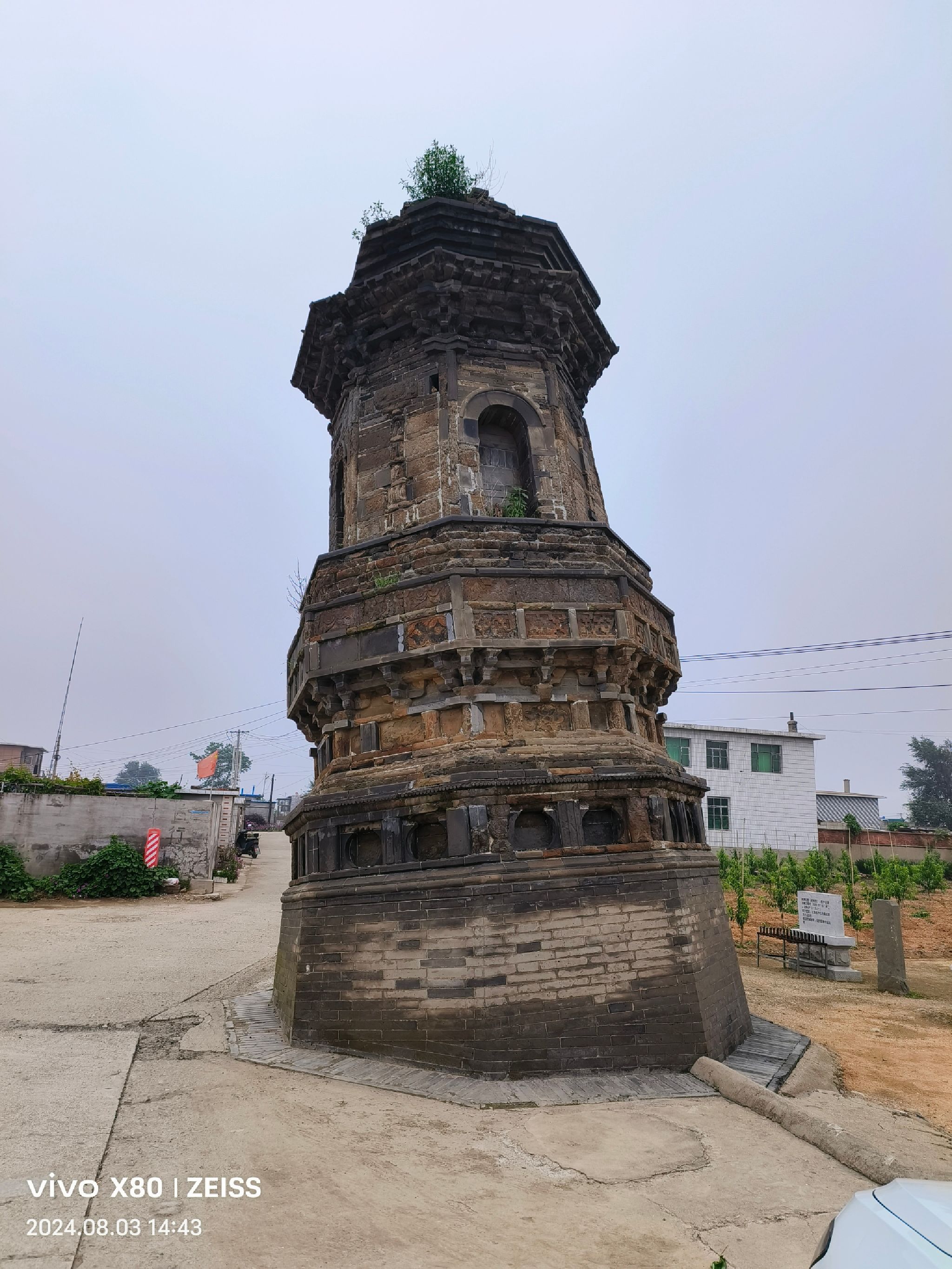 前卫歪塔旅行图片 1