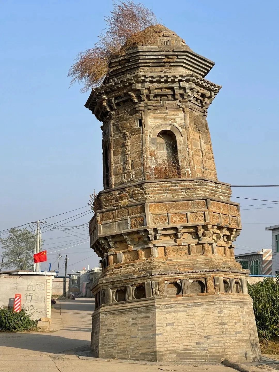 前卫歪塔旅行图片 2