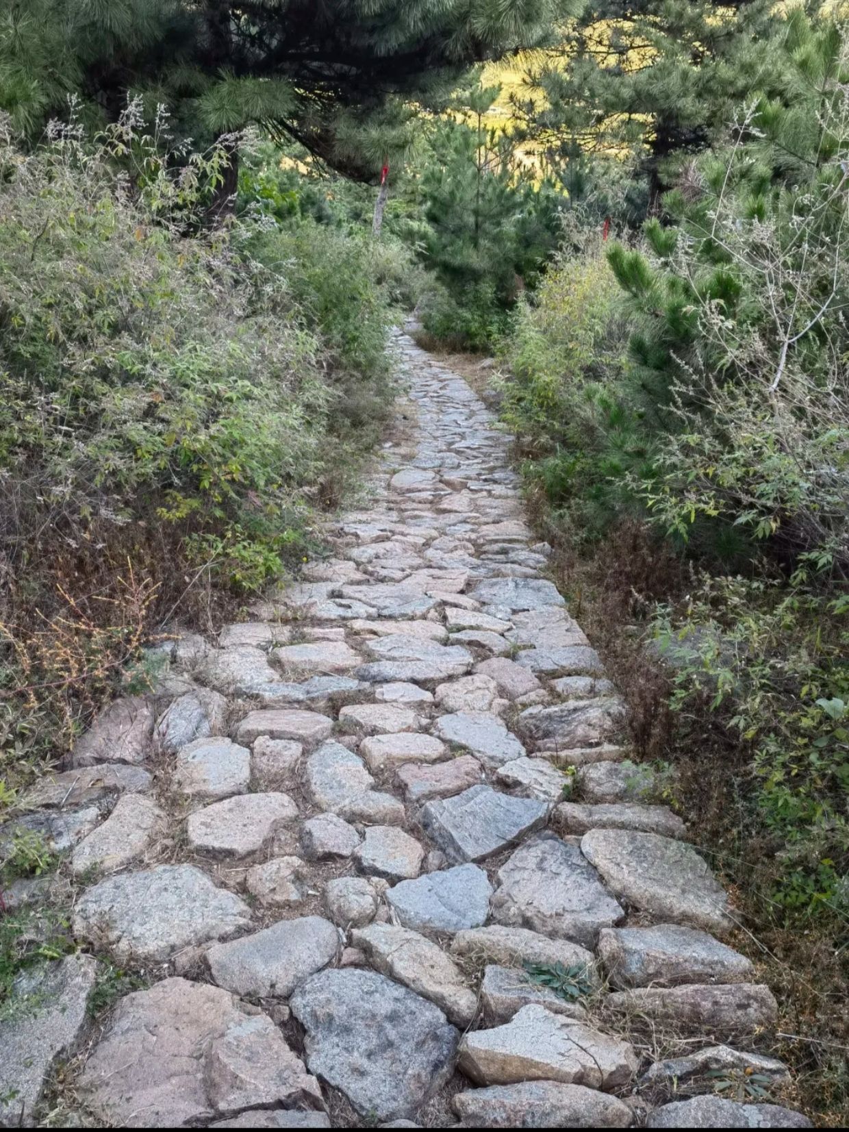 三山风景区旅行图片 1