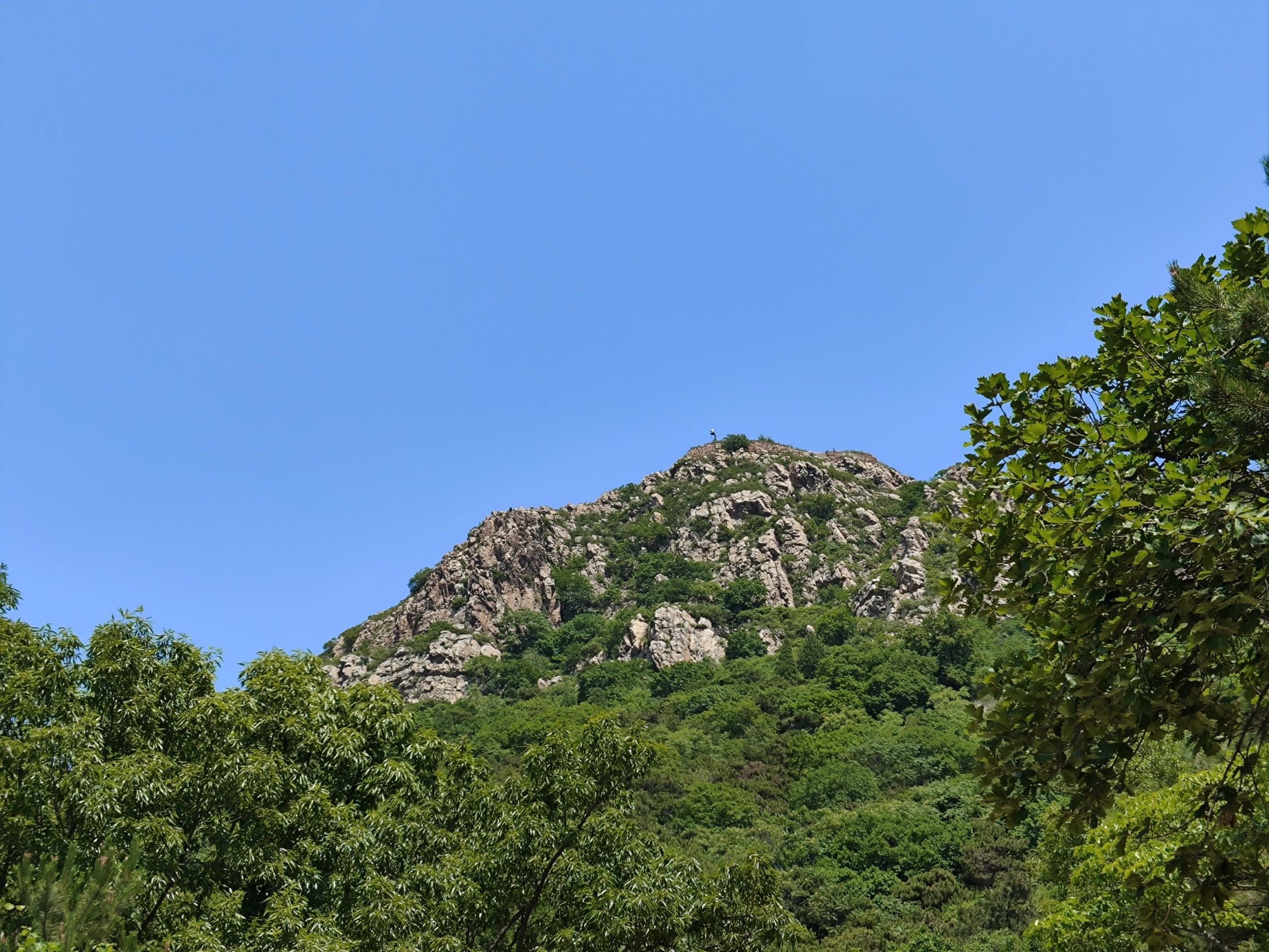 首山国家级森林公园旅行图片 2