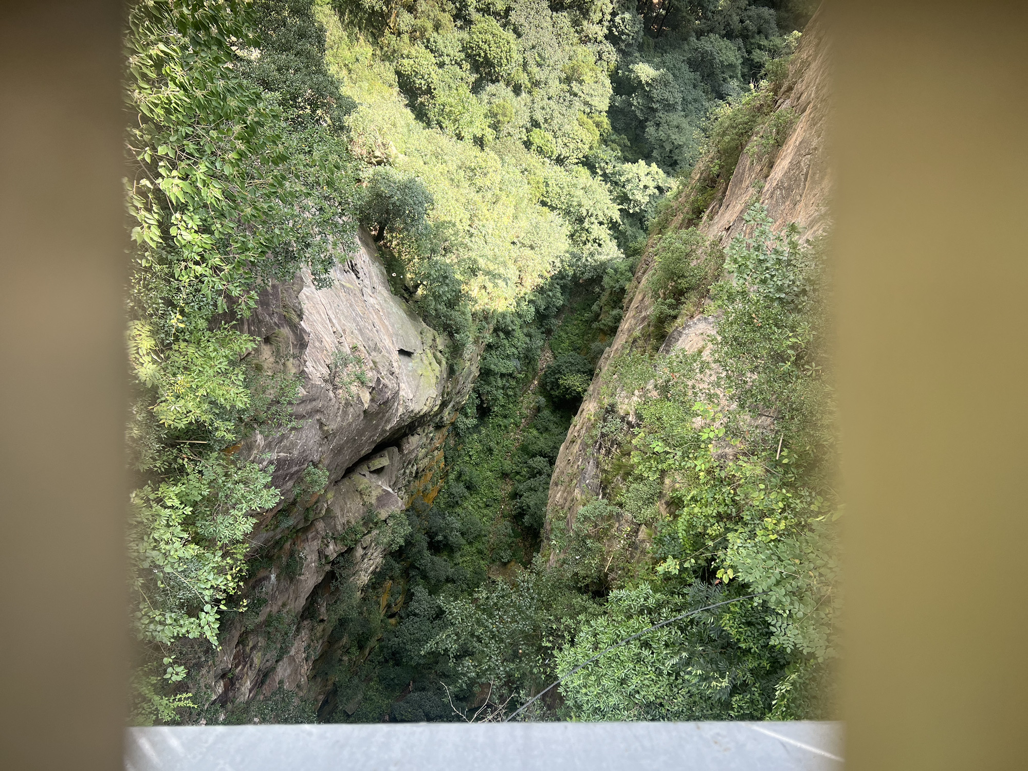 首山国家级森林公园旅行图片 3
