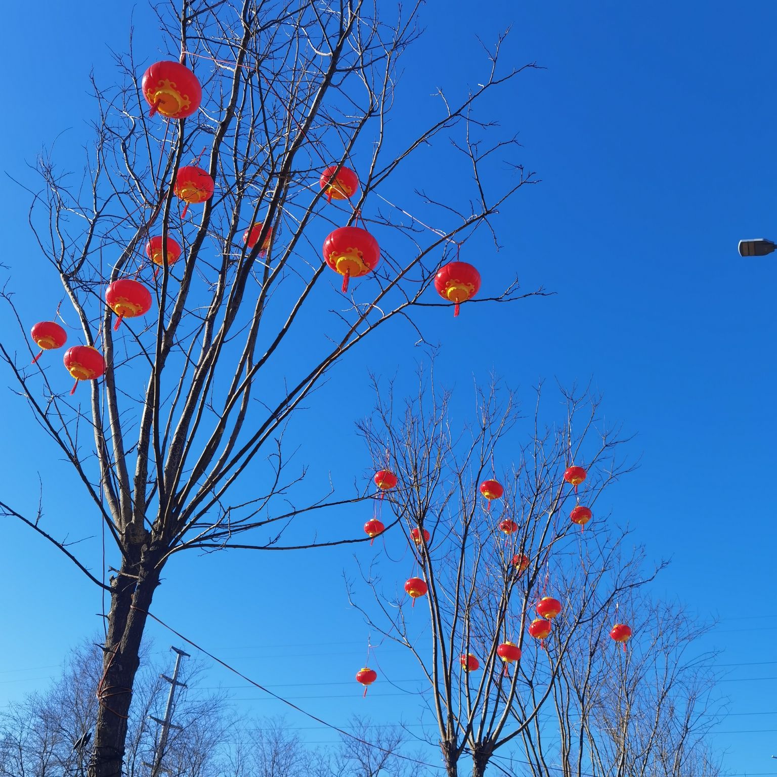 葫芦岛市第六初级中学