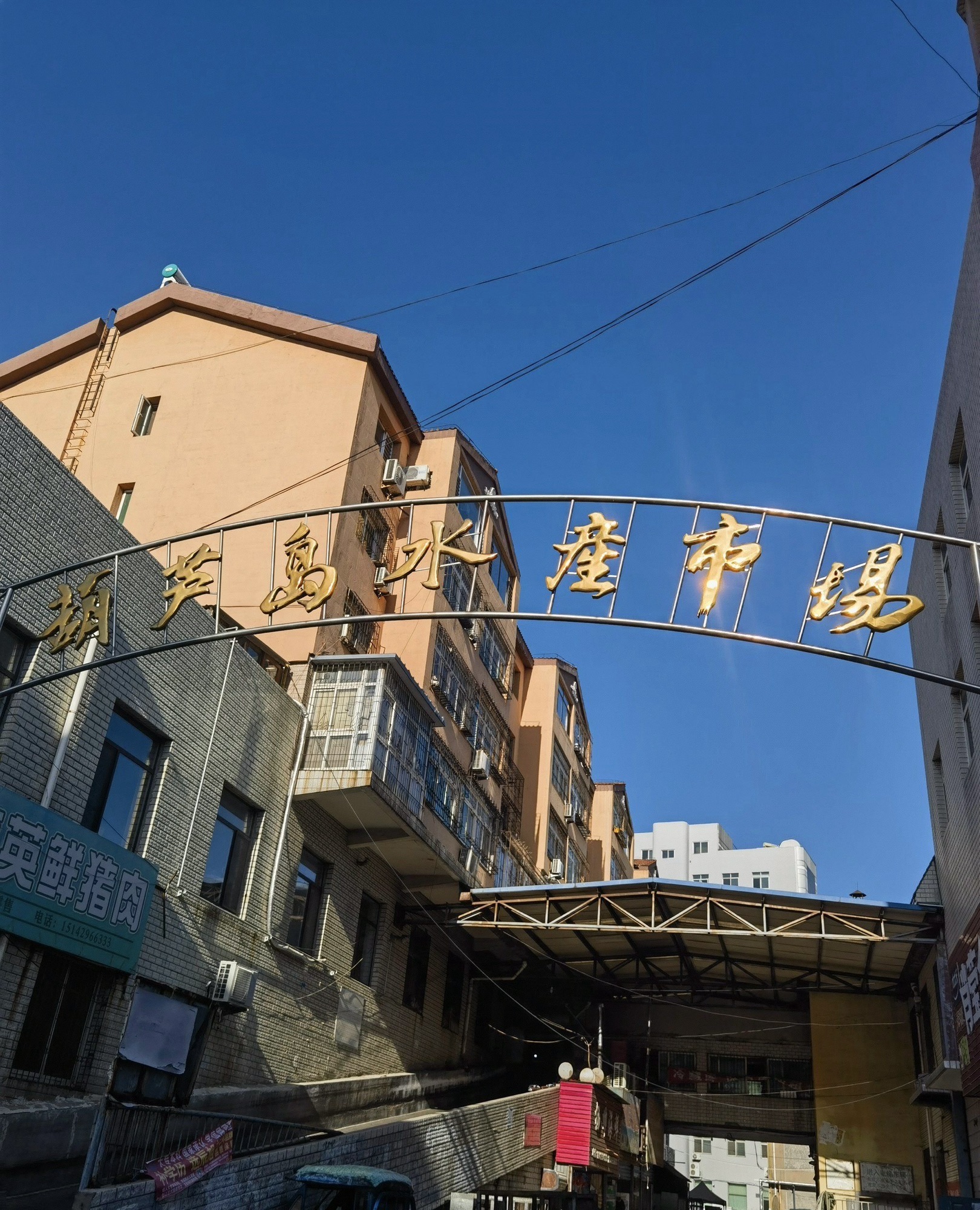 葫芦岛水产市场