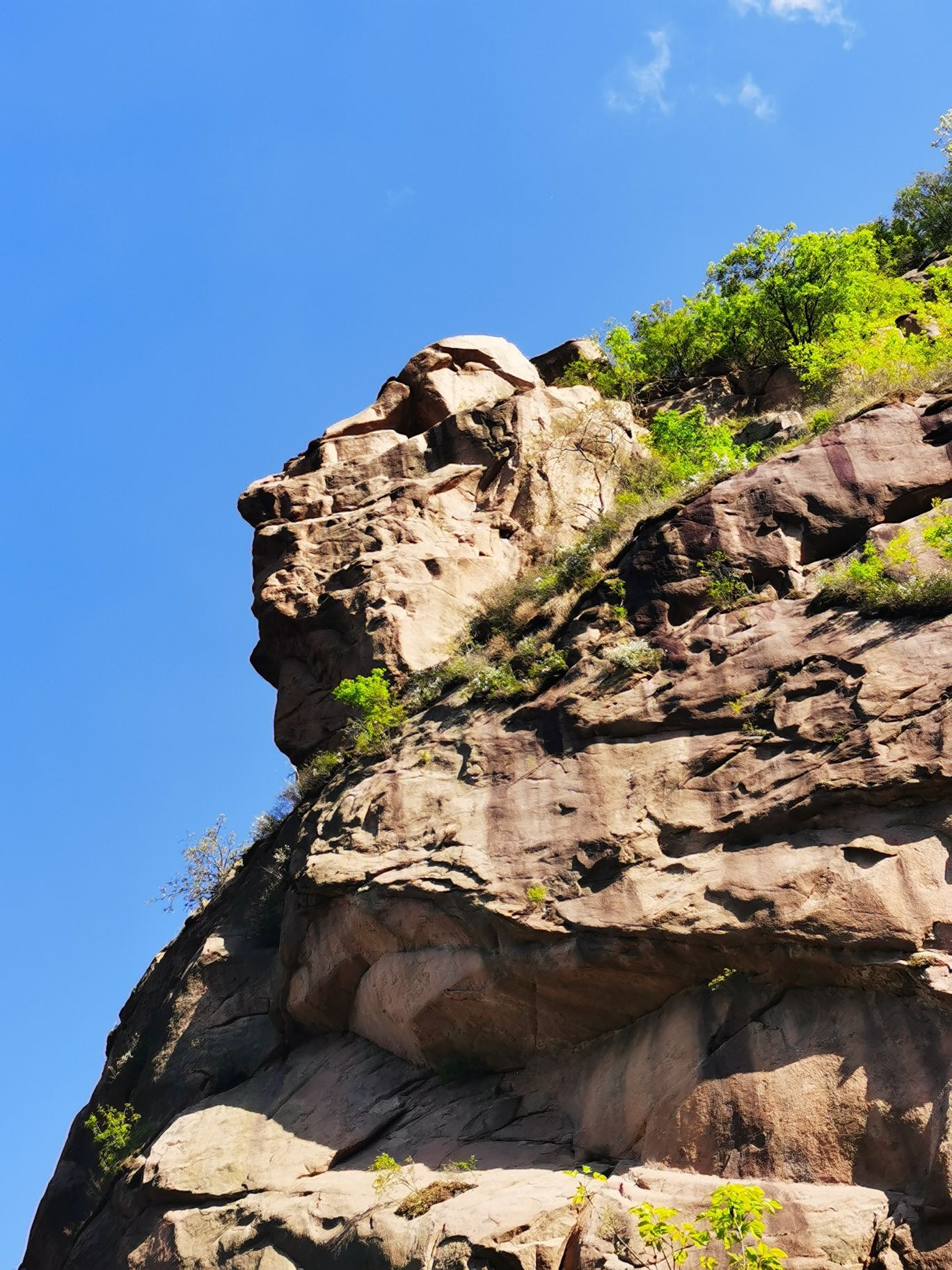 绥中三山妙峰森林公园旅行图片 1