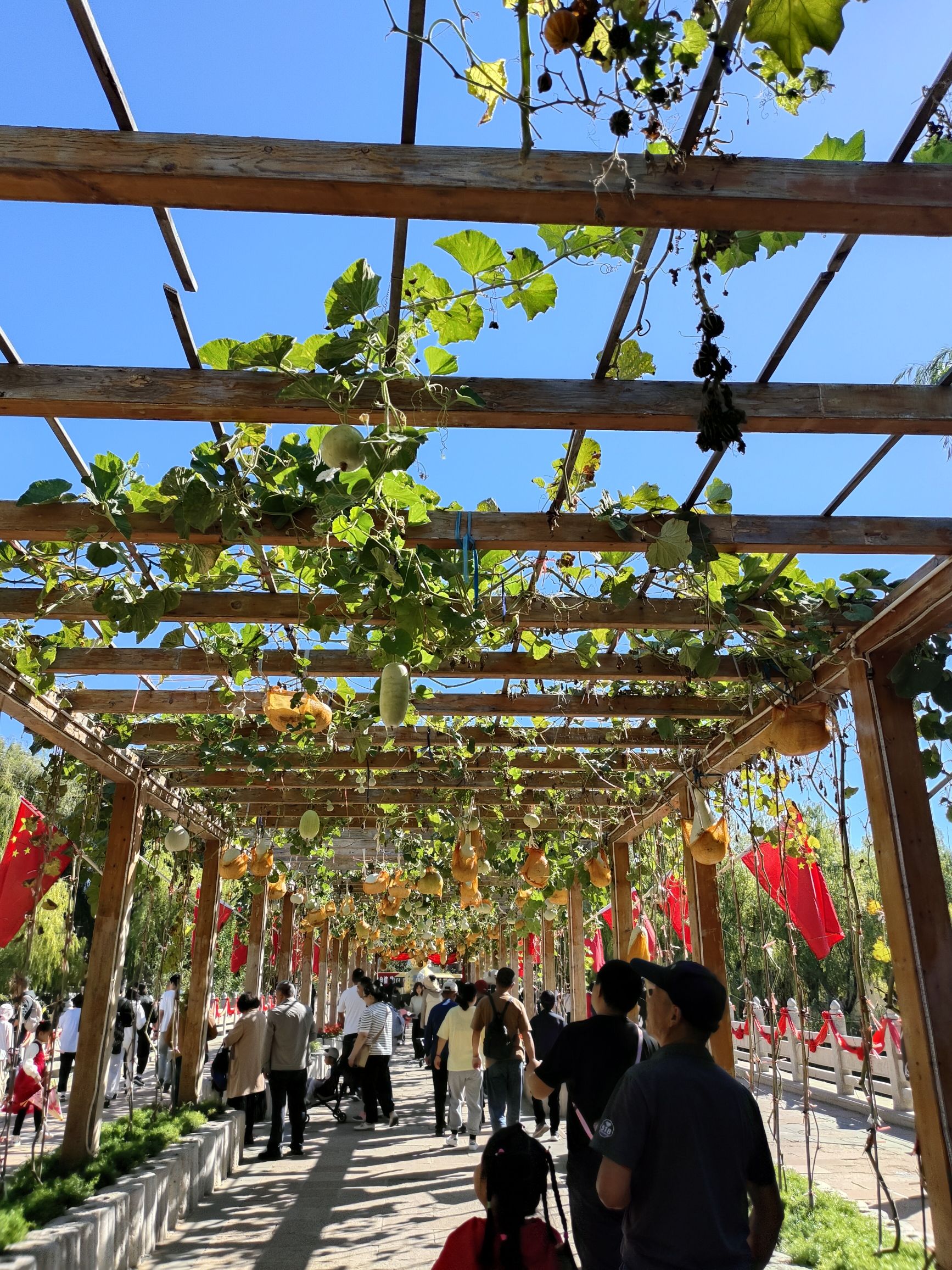 葫芦古镇旅行图片 3