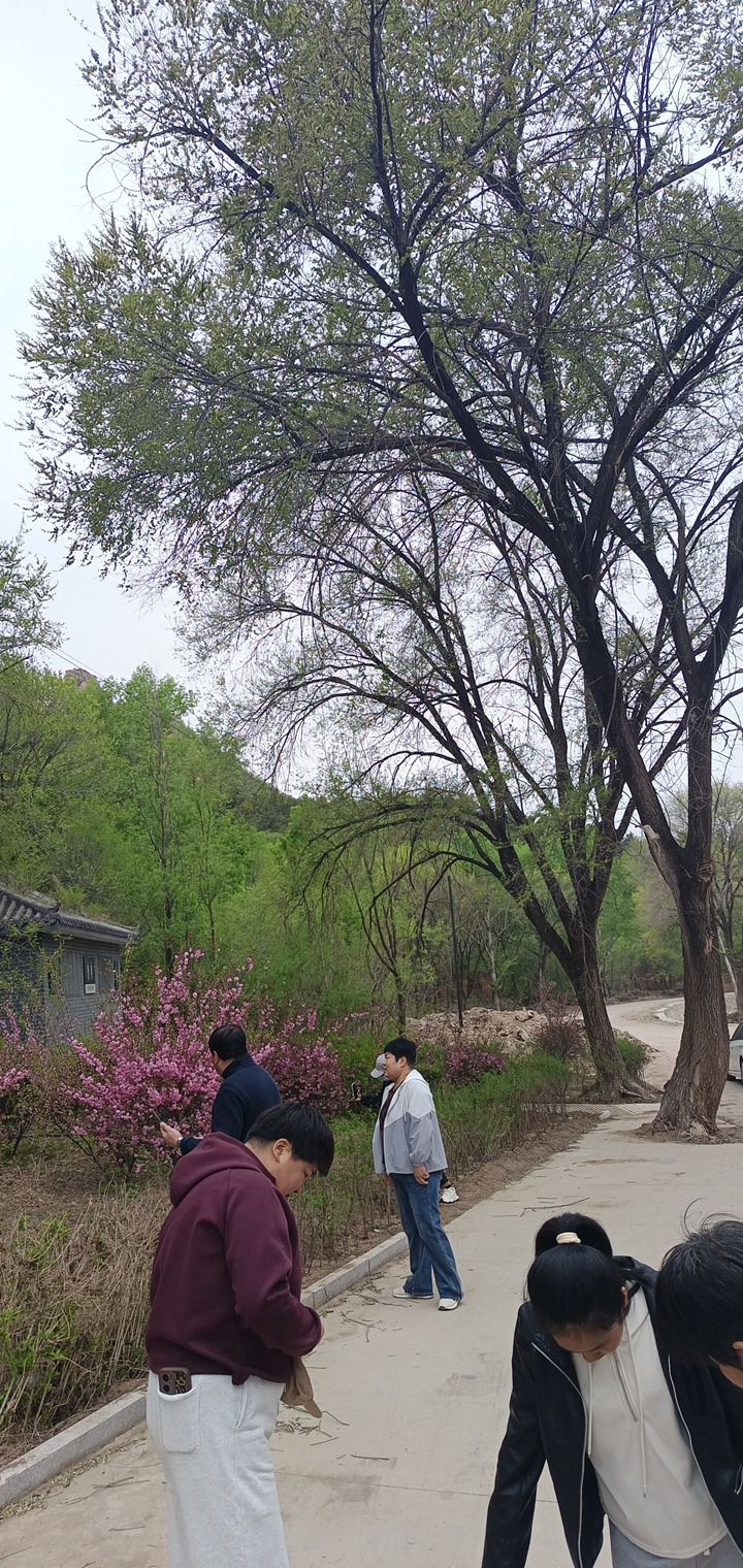 辽宁白狼山国家级自然保护区(暂停开放)旅行图片 3